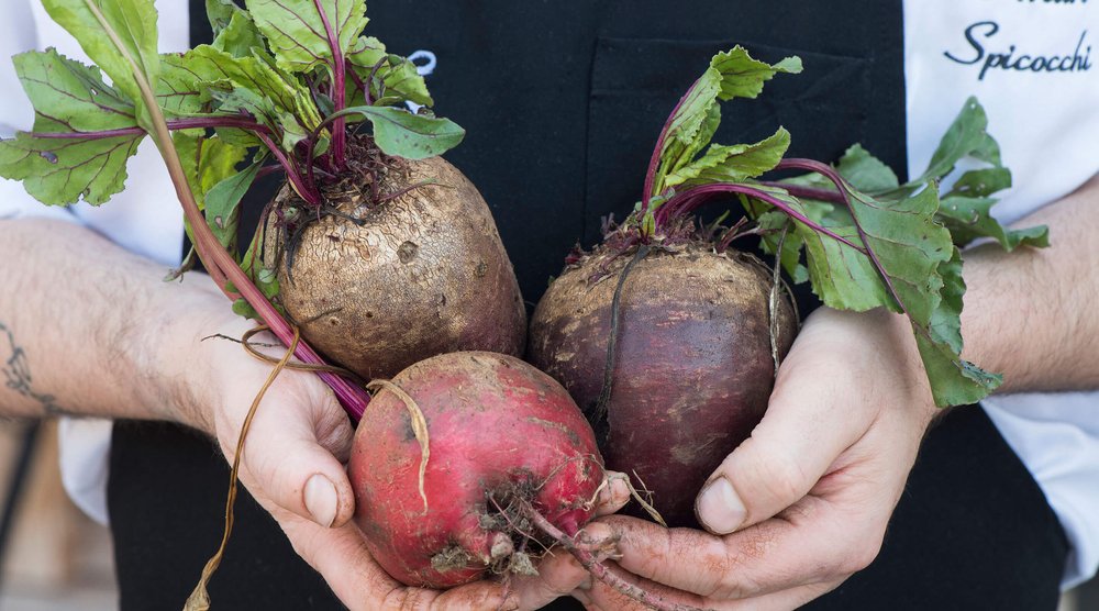 farm to table produce.jpeg