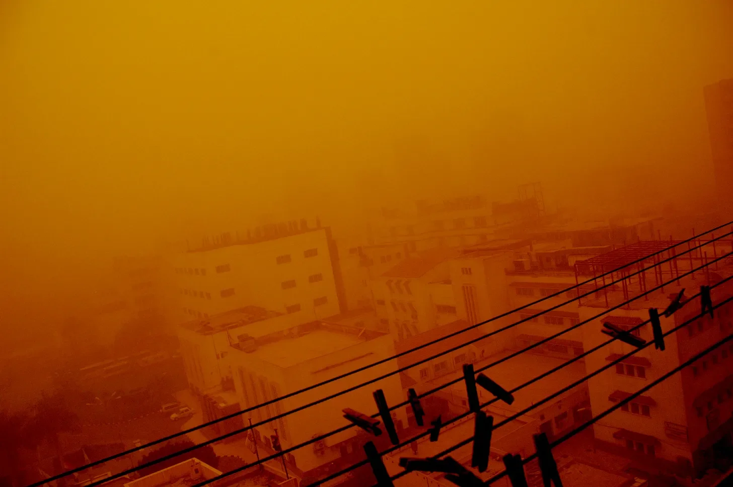 The Window That Keeps Calling Me