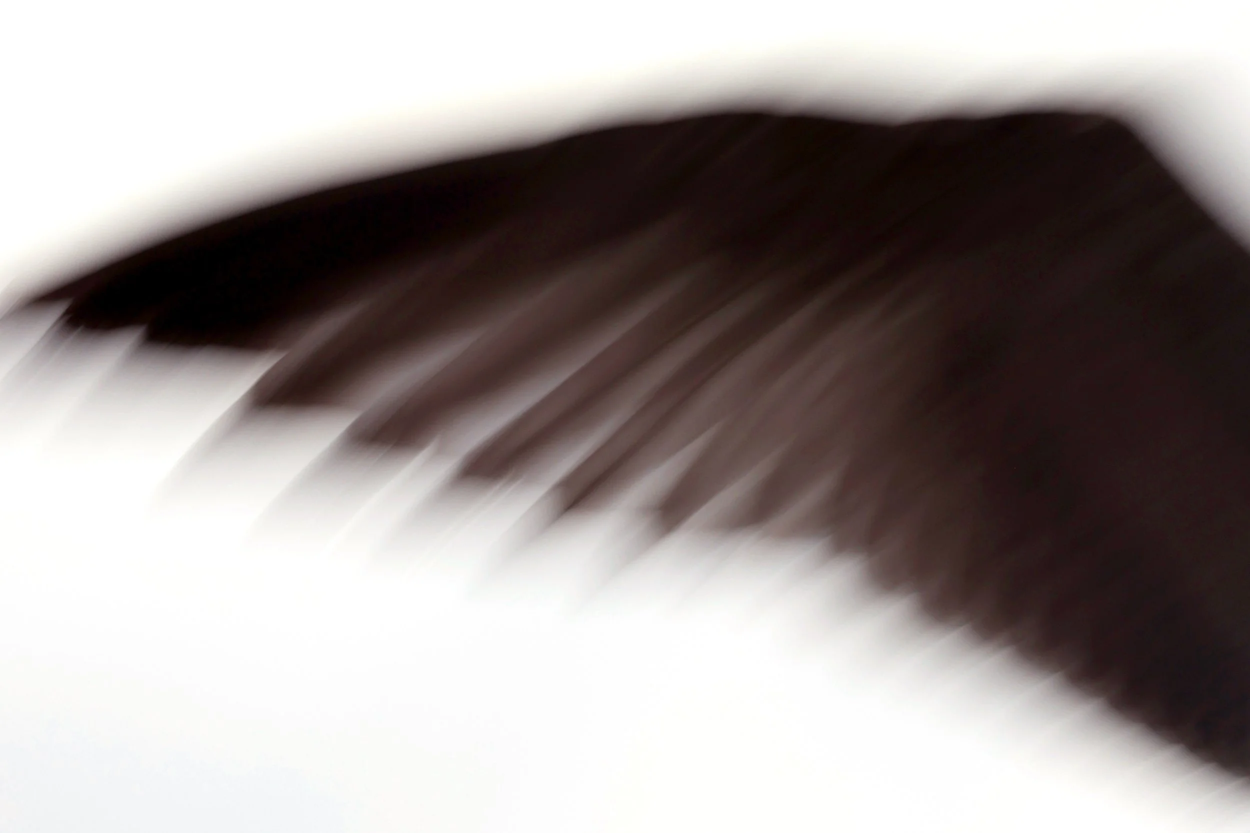 What Does Belonging Sound Like?