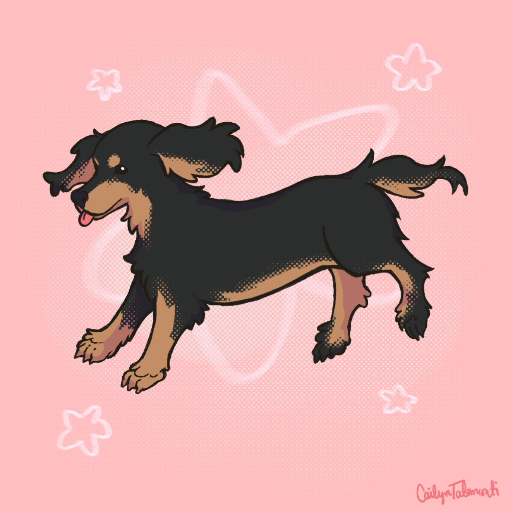Art Fight