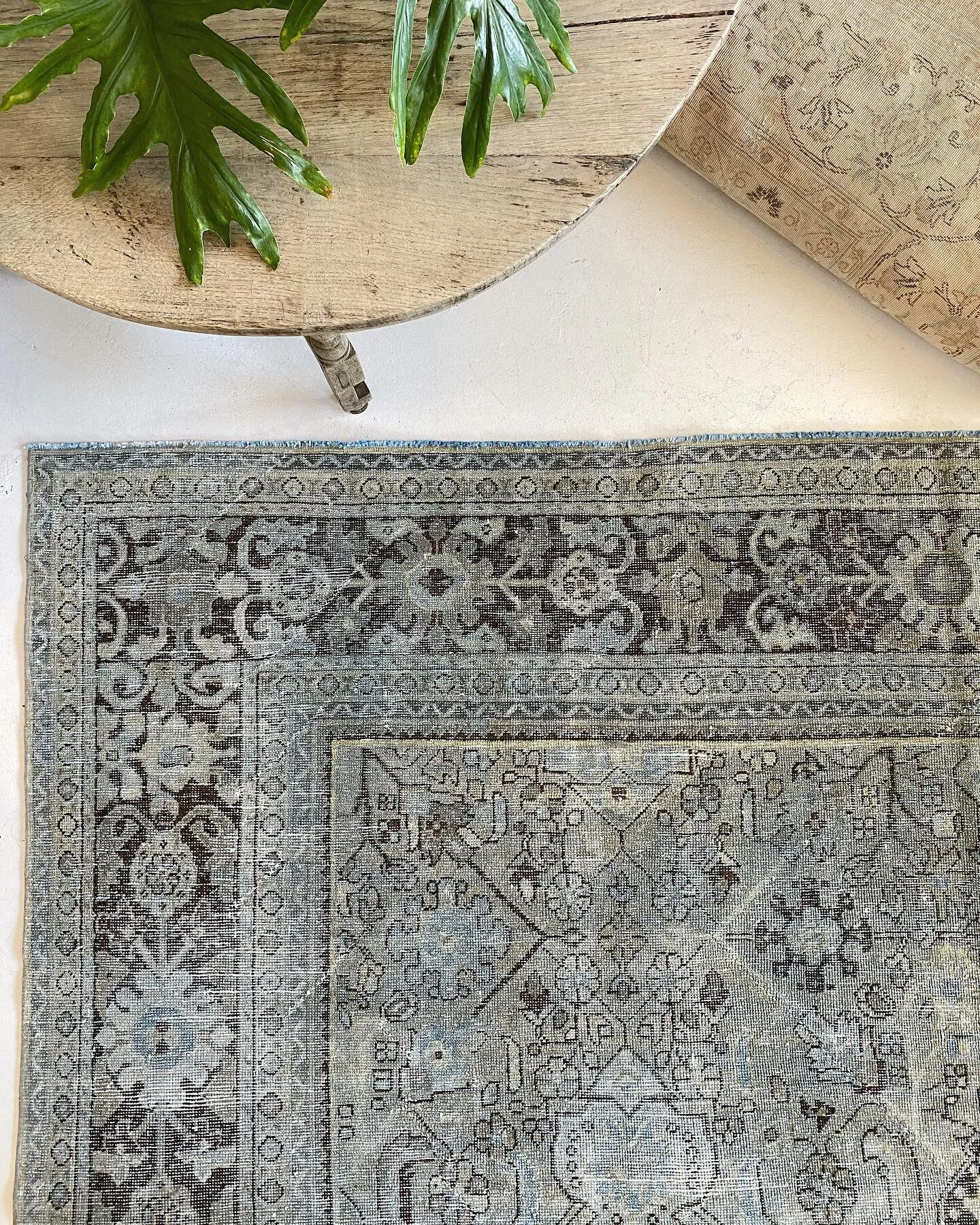 Hazel House Collective