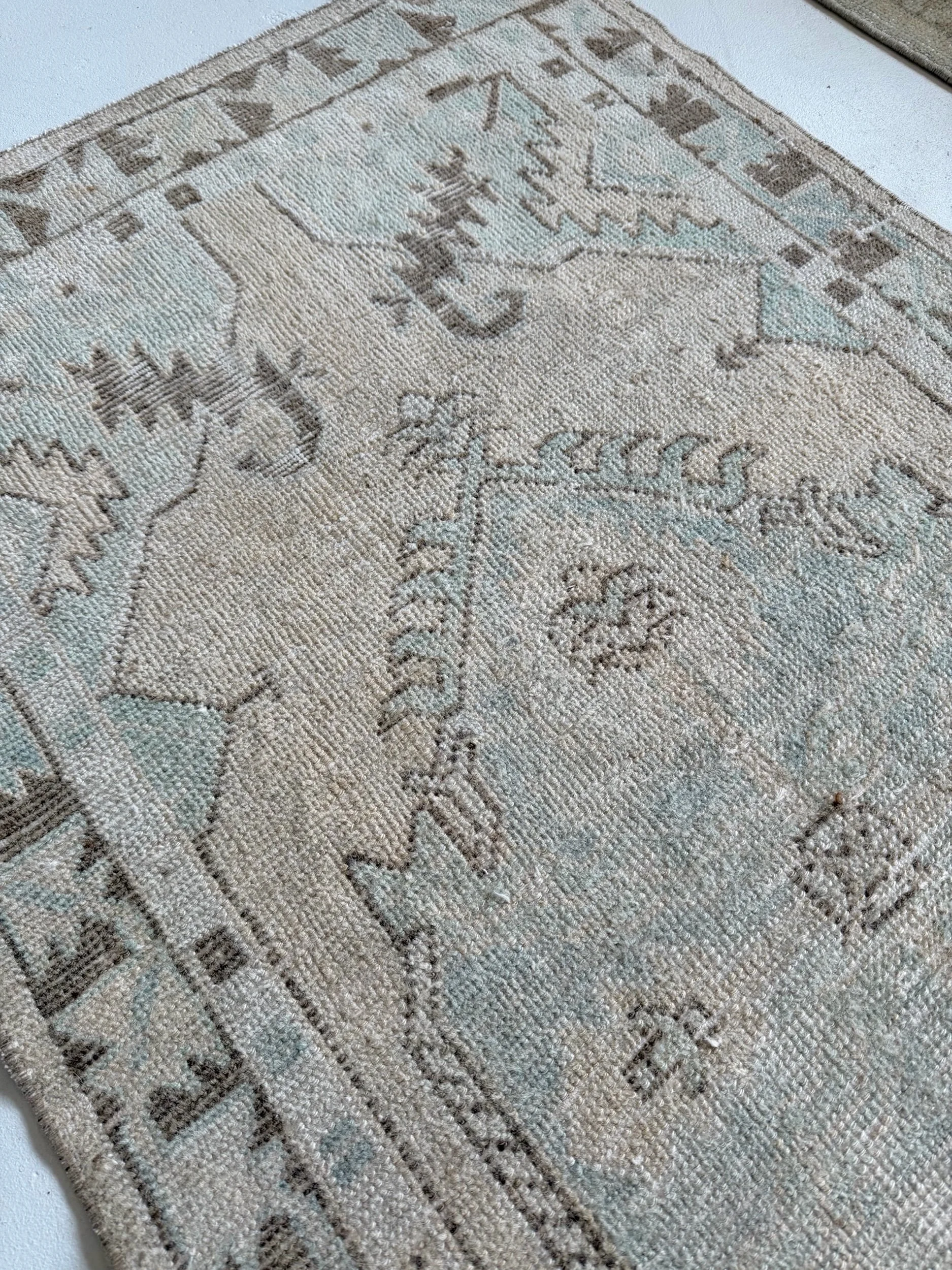 E3630F65-5546-4F6C-87CB-08D8AC16767C.jpeg