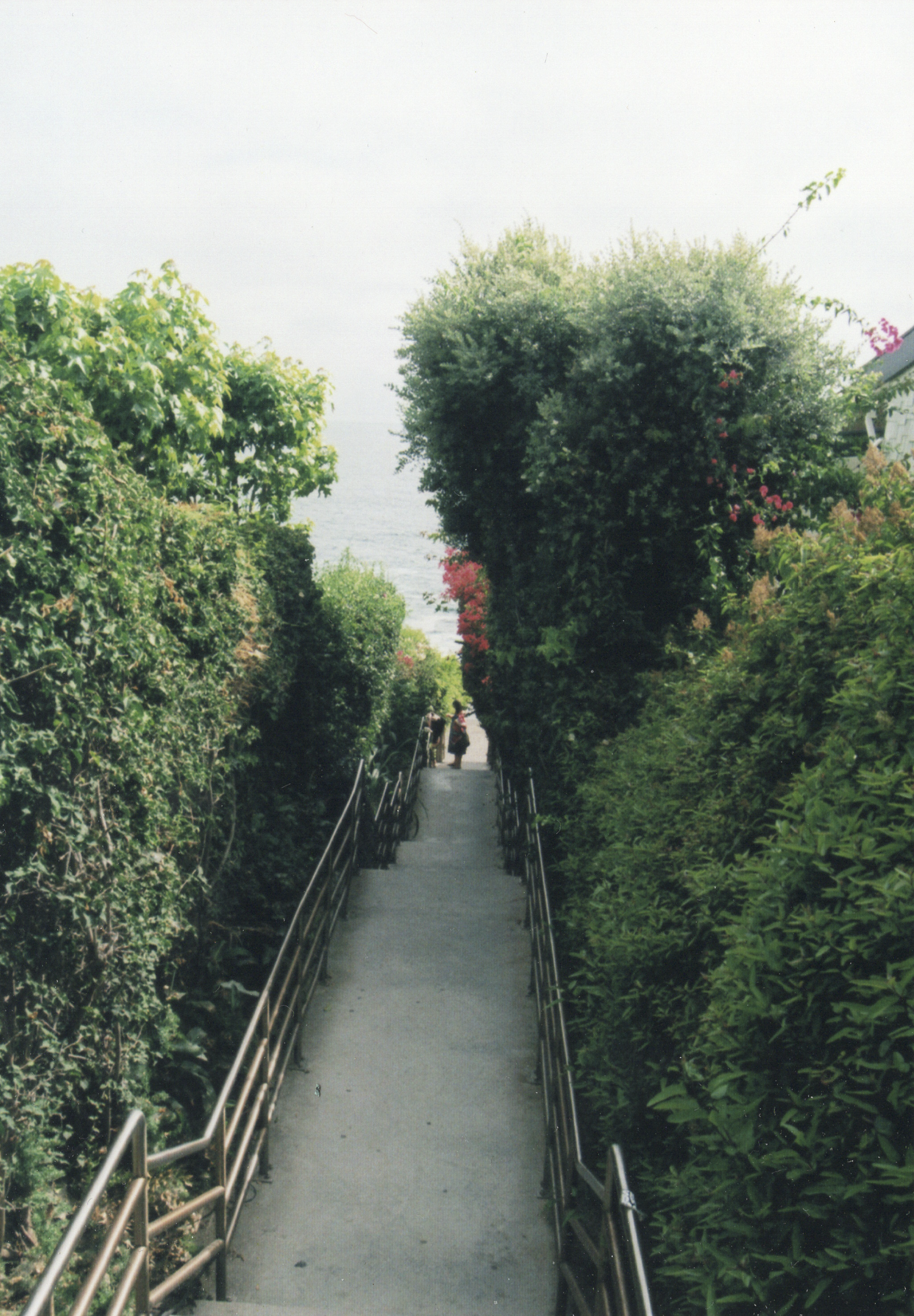 EPSON005.png