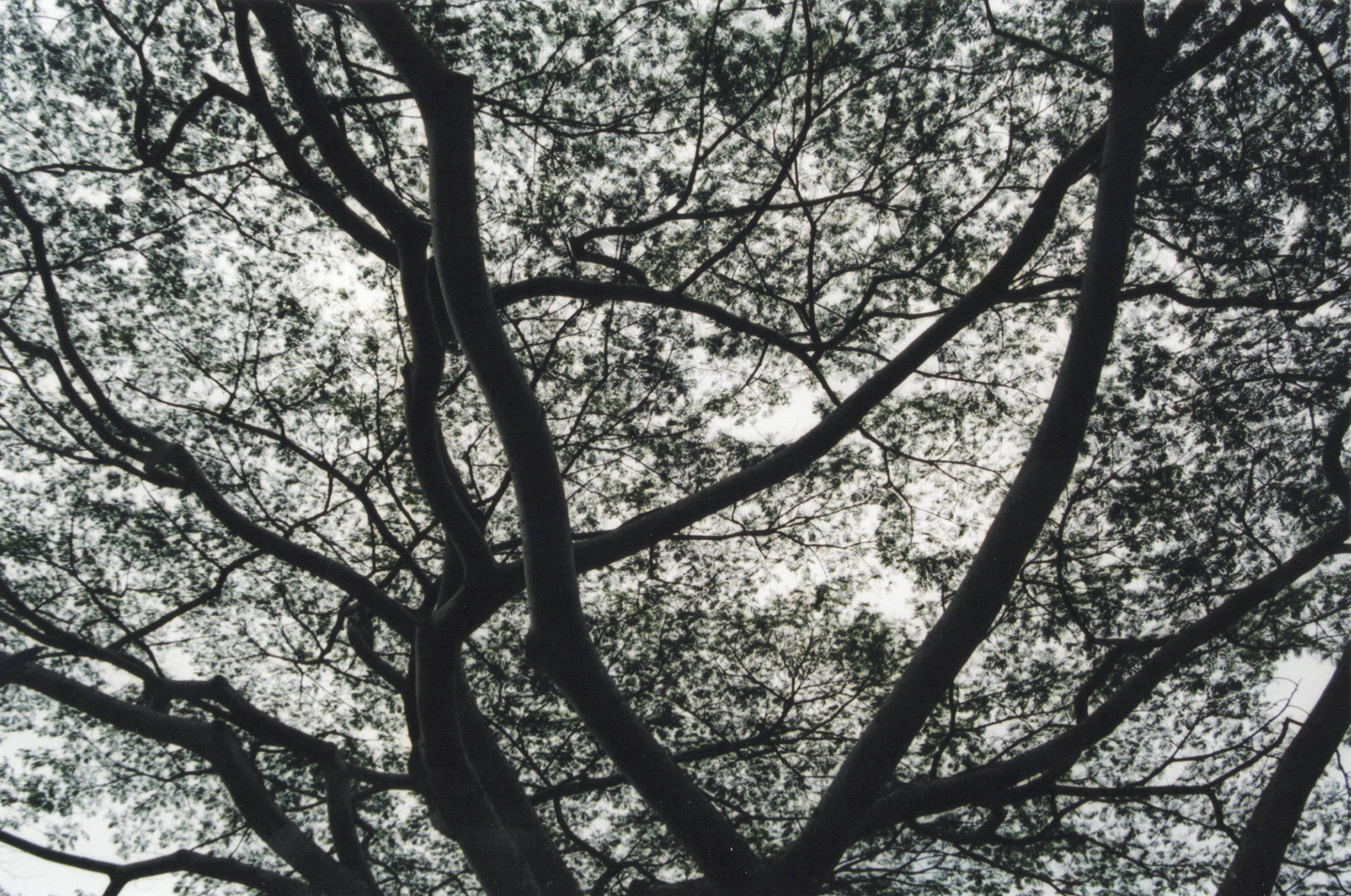 EPSON021.png