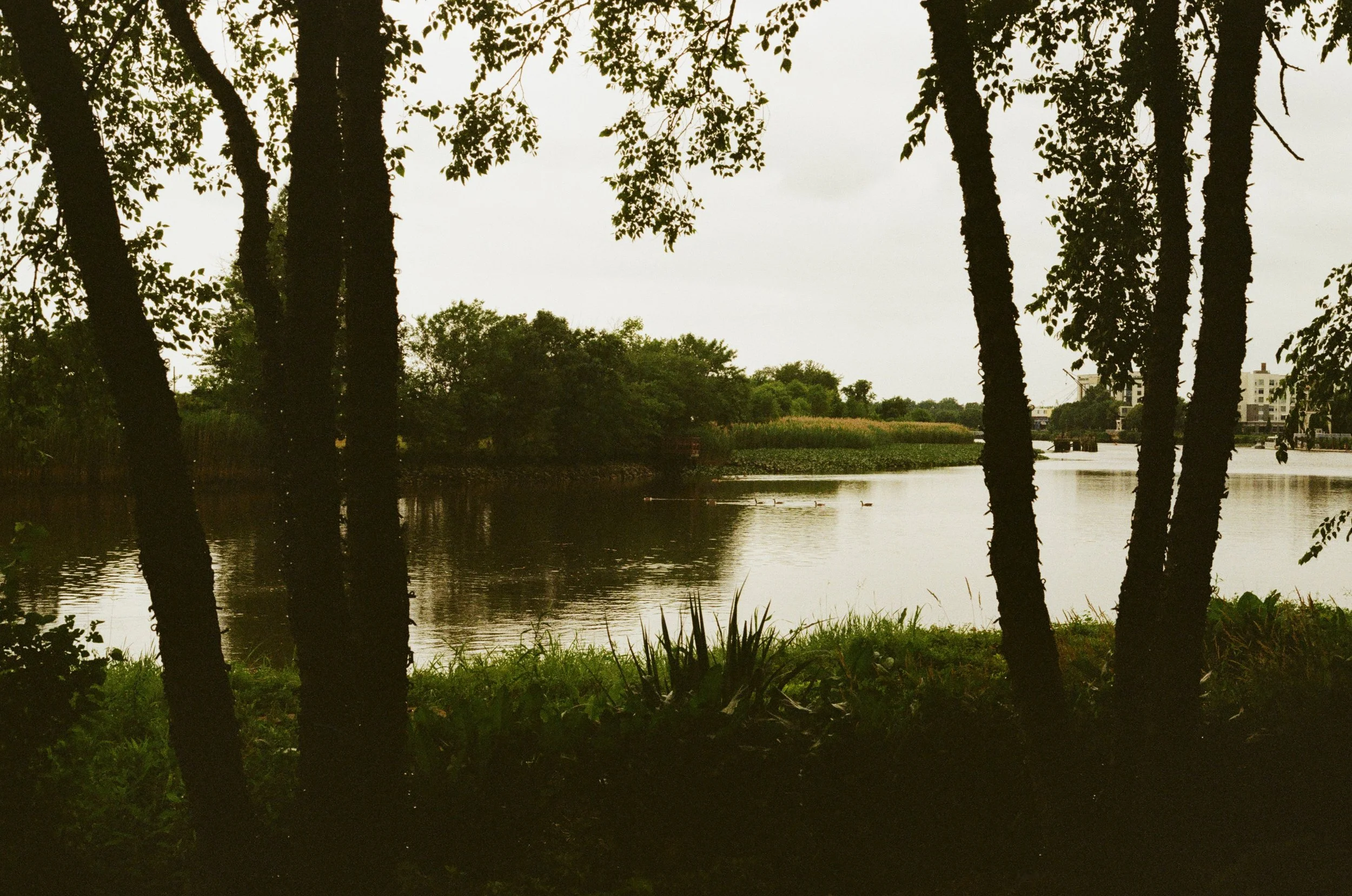 250718051648010011.jpg
