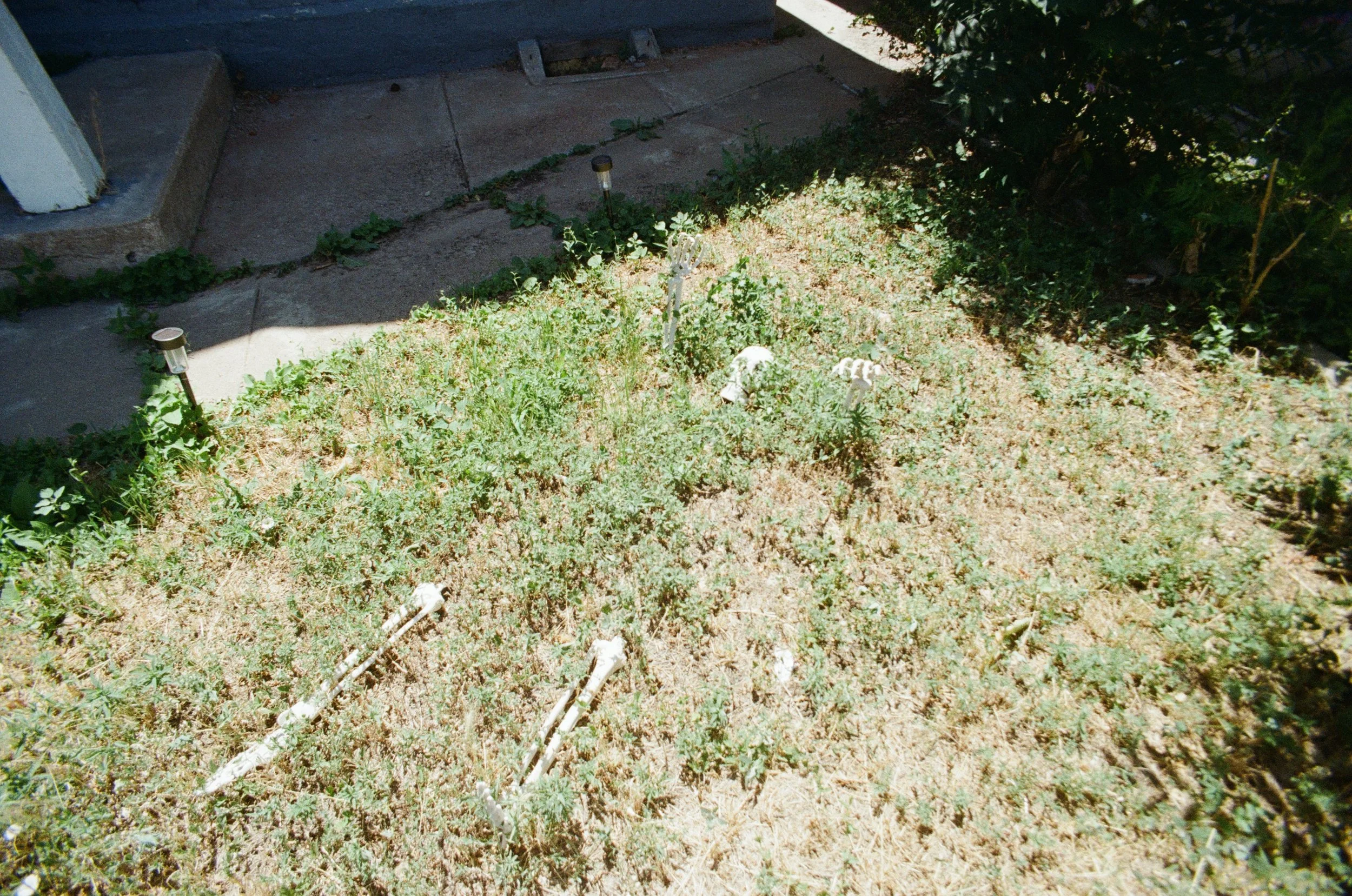 250718051648030022.jpg