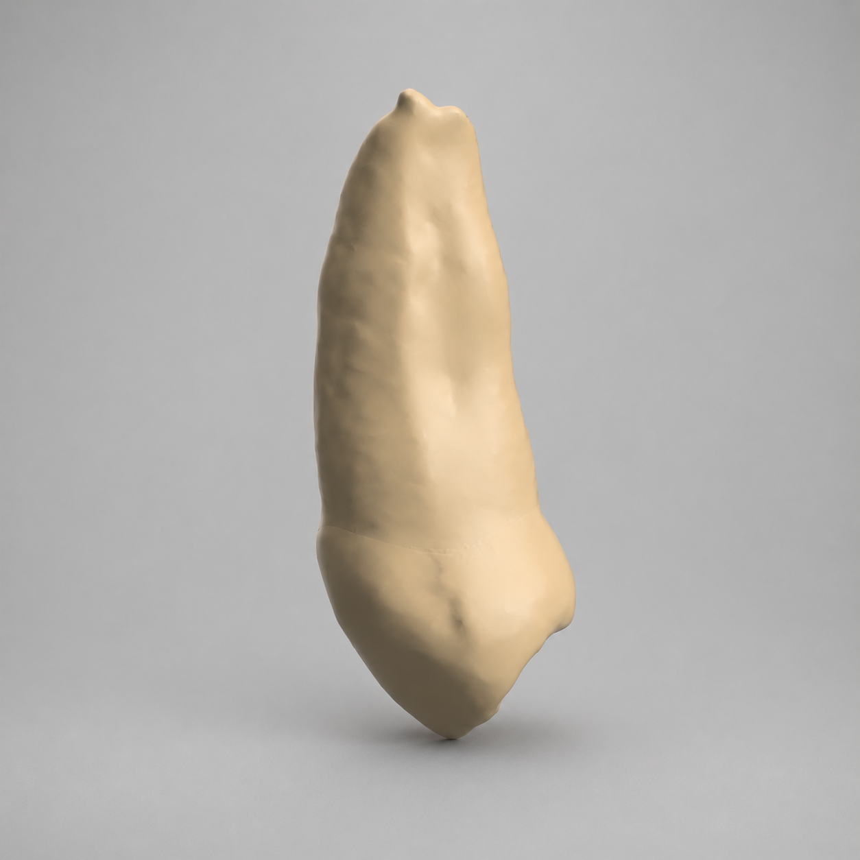 28_opaque_1.png