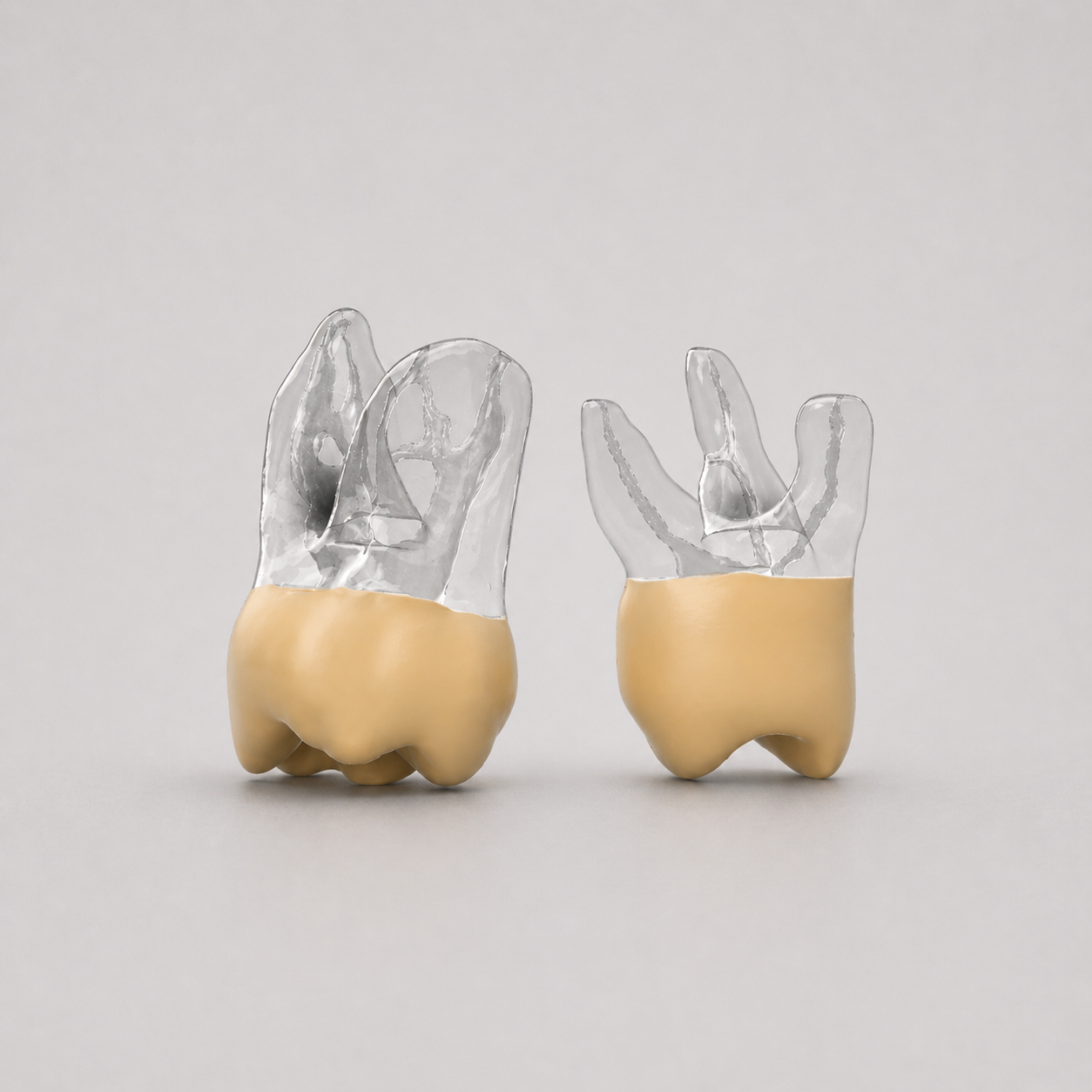 pedicatic_teeth_1.png