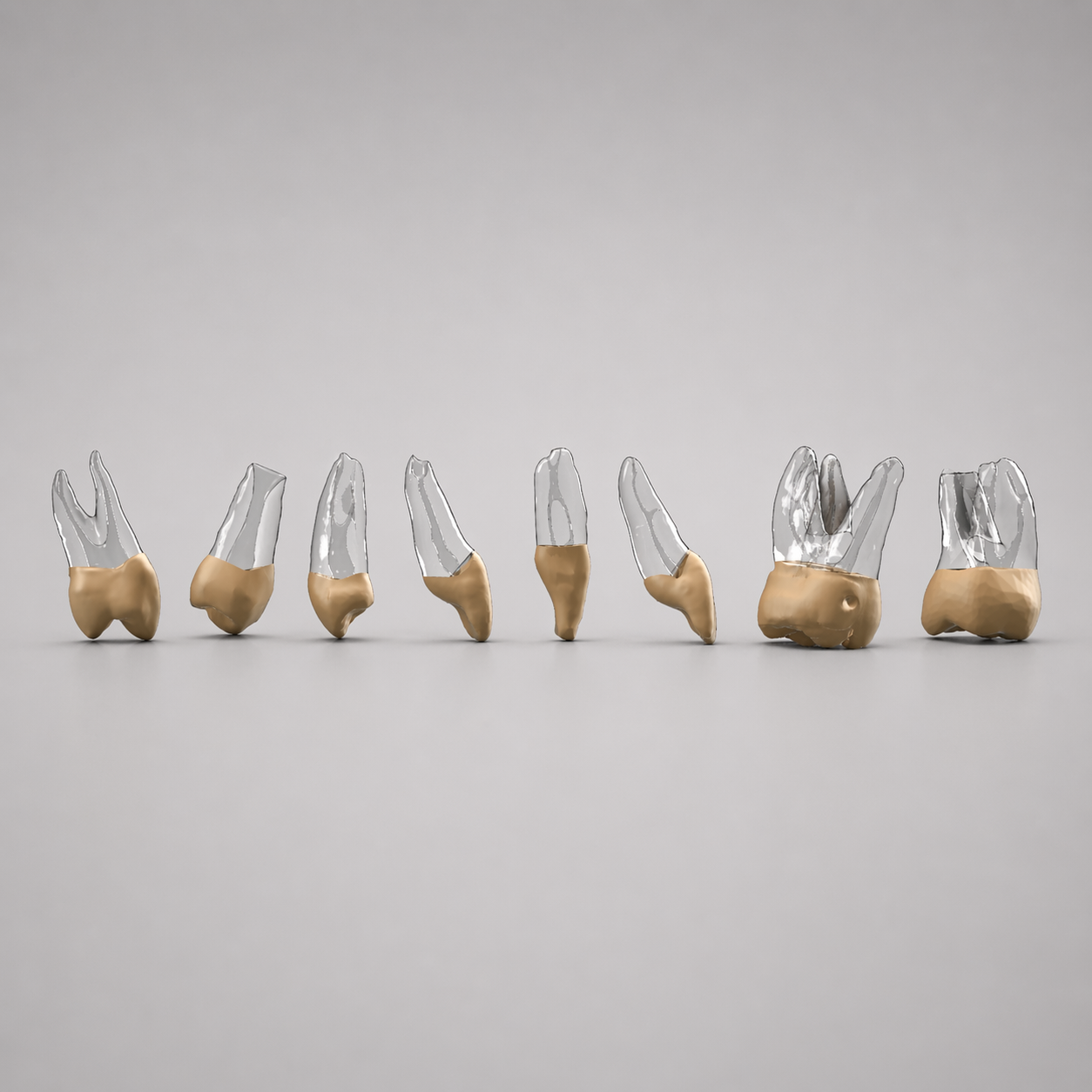 Endodontic Advanced Training Pack (8)