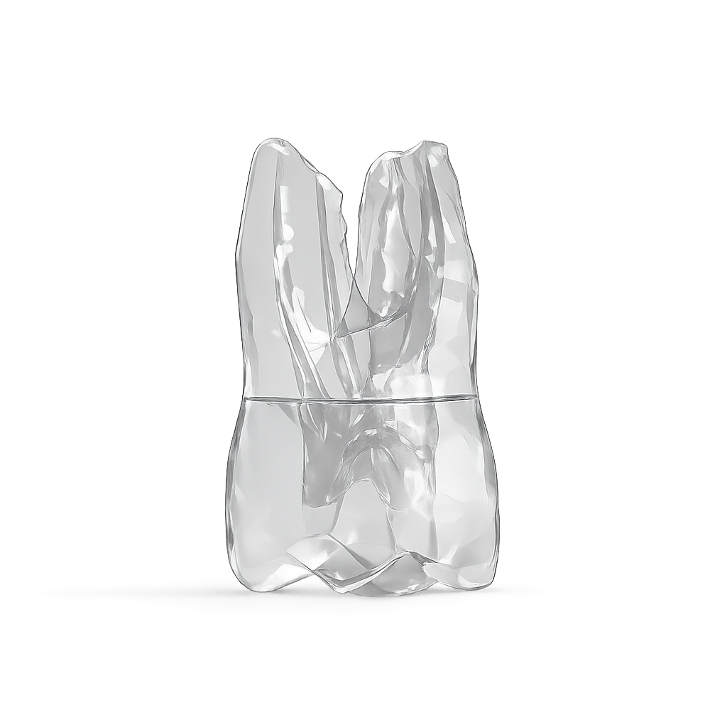 14b_transparent_1.png