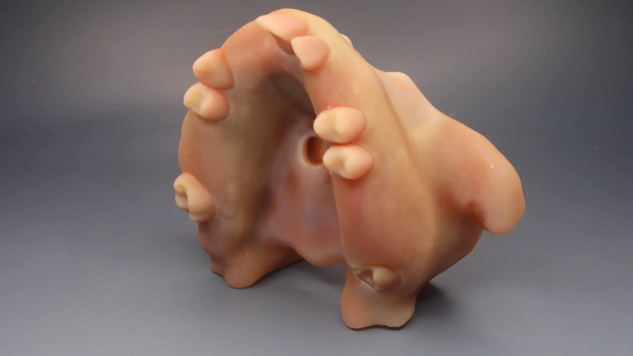 Partial edentulous available on website!
Great for implant training &amp; Sinus Lift procedures.