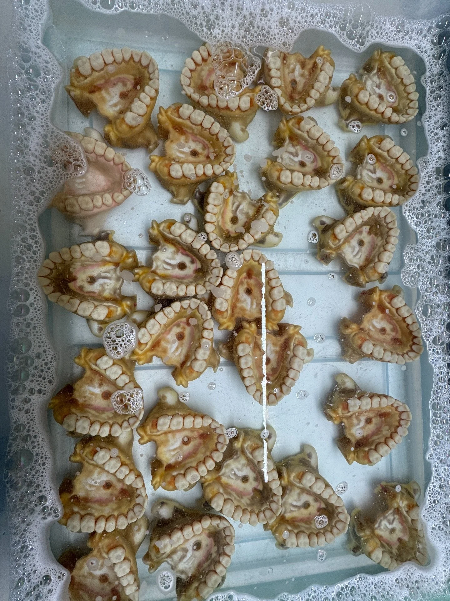 Full anatomy surgical training simulation.