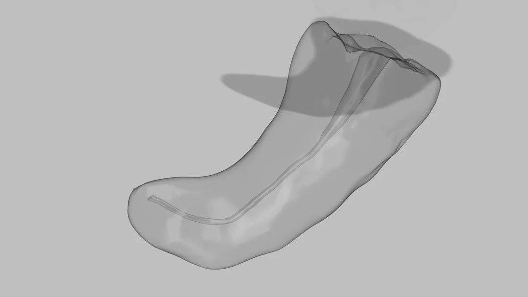 Developed in collaboration with a postgraduate clinician to create a highly controlled endodontic model for research and training.

Every detail was intentionally engineered:

23 mm total tooth length
22 mm working length (measured from crown along t