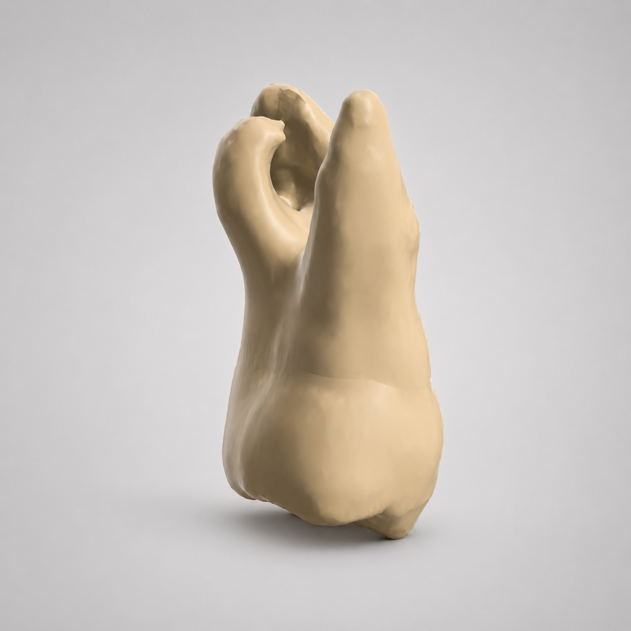 15_curved_opaque_1.png