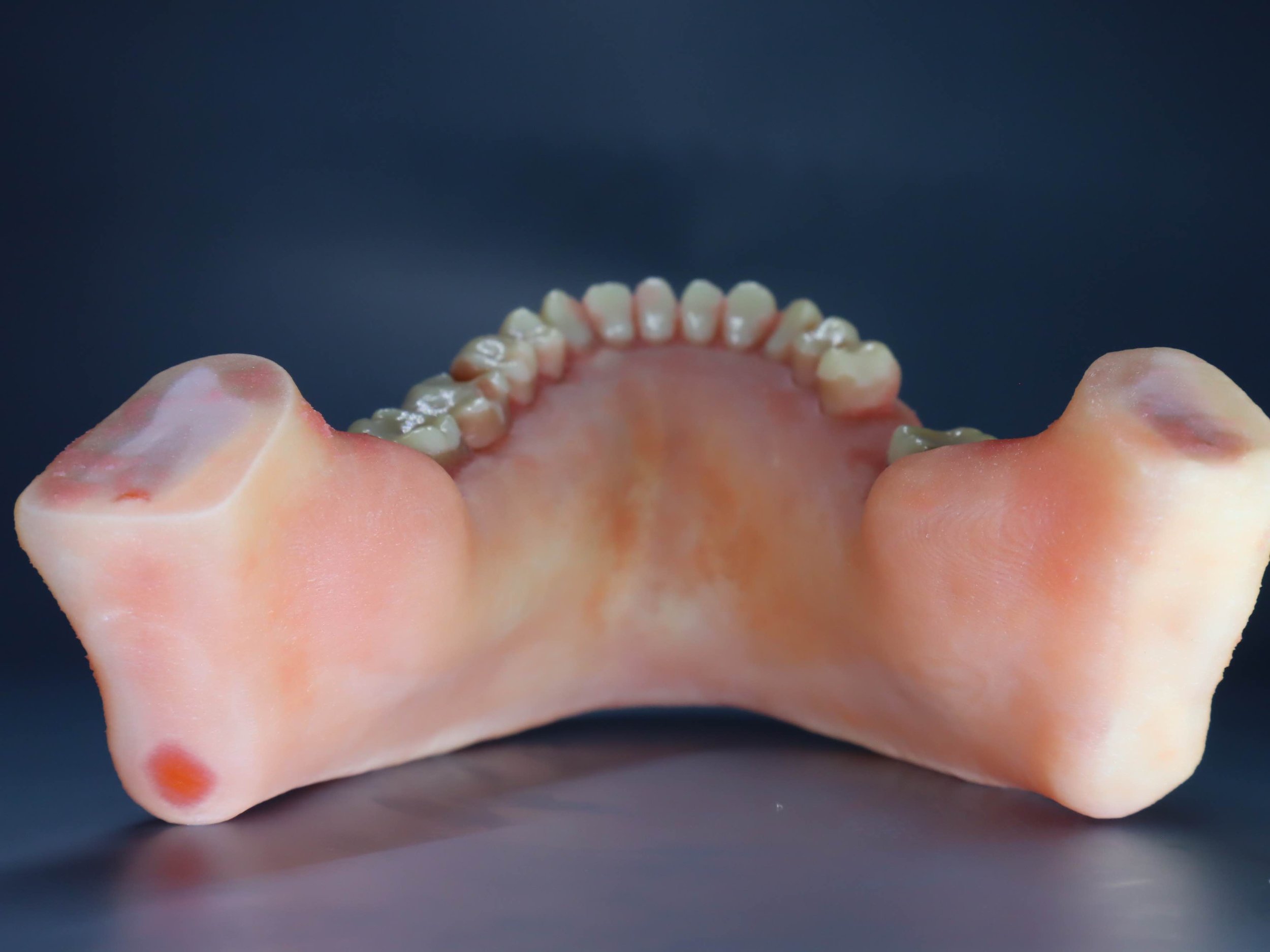 8C4D885D-9845-4FE5-9558-4B4FEF0B41FD.jpg