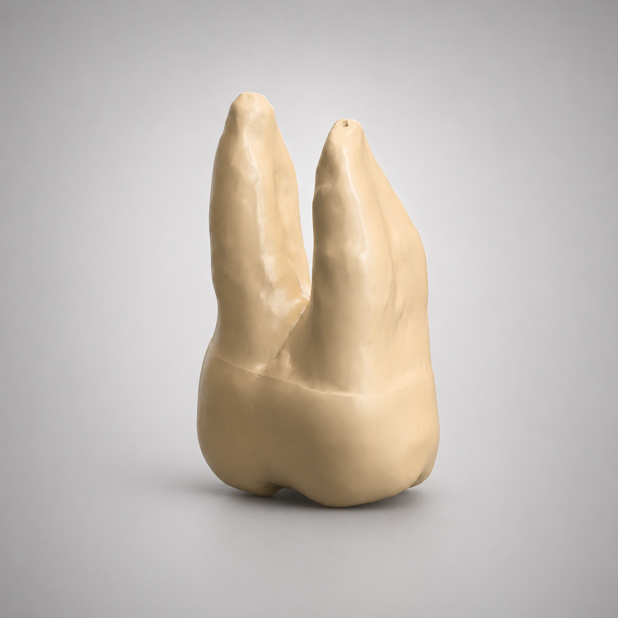 19b_opaque_1.png