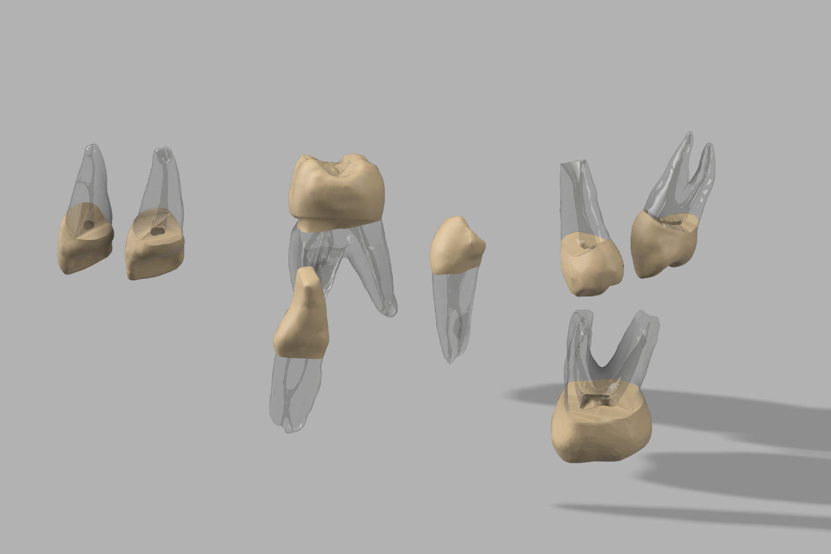 Endodontic Advanced Training Pack (8)