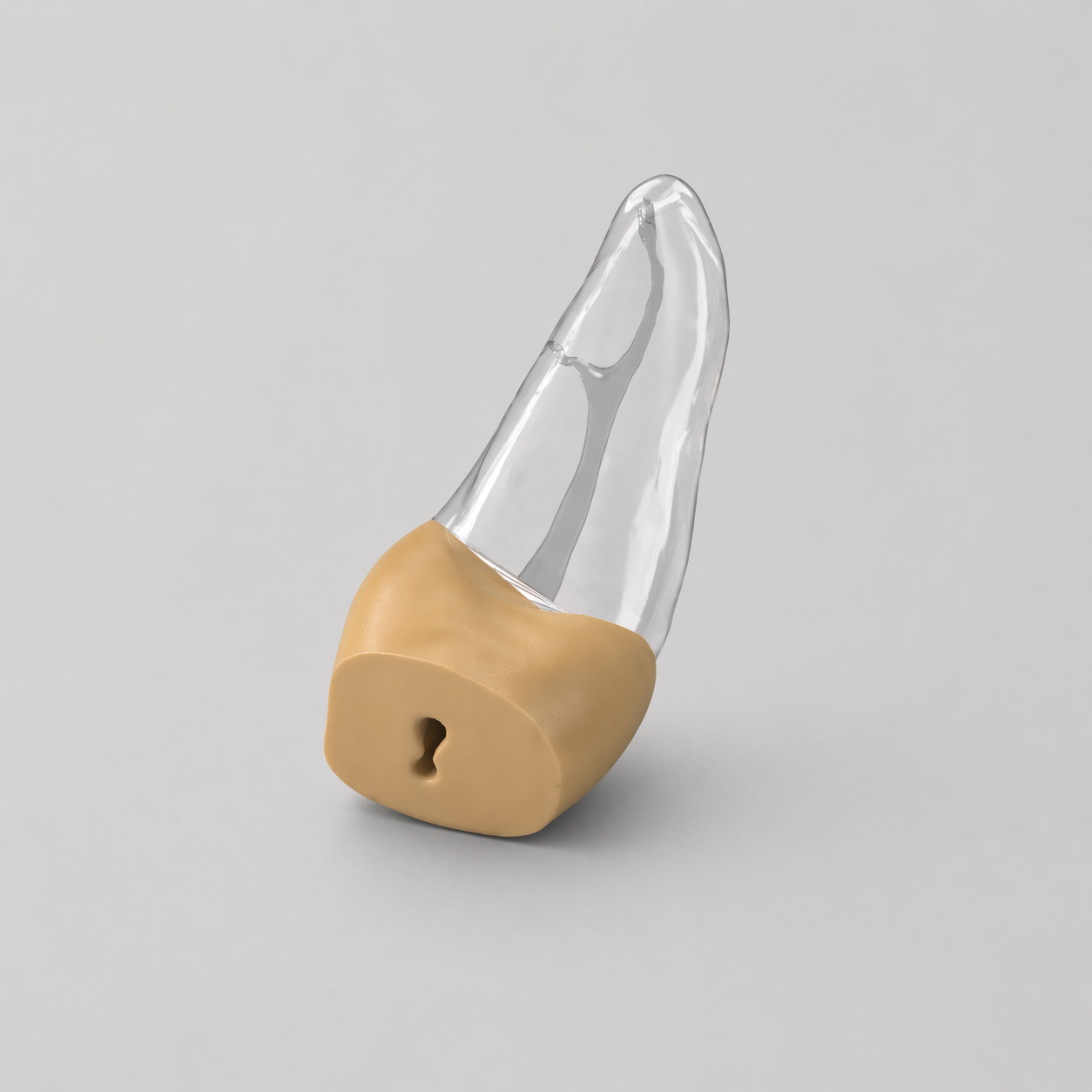Tooth 9 With Crown Fracture (Upper Left Central Incisor)