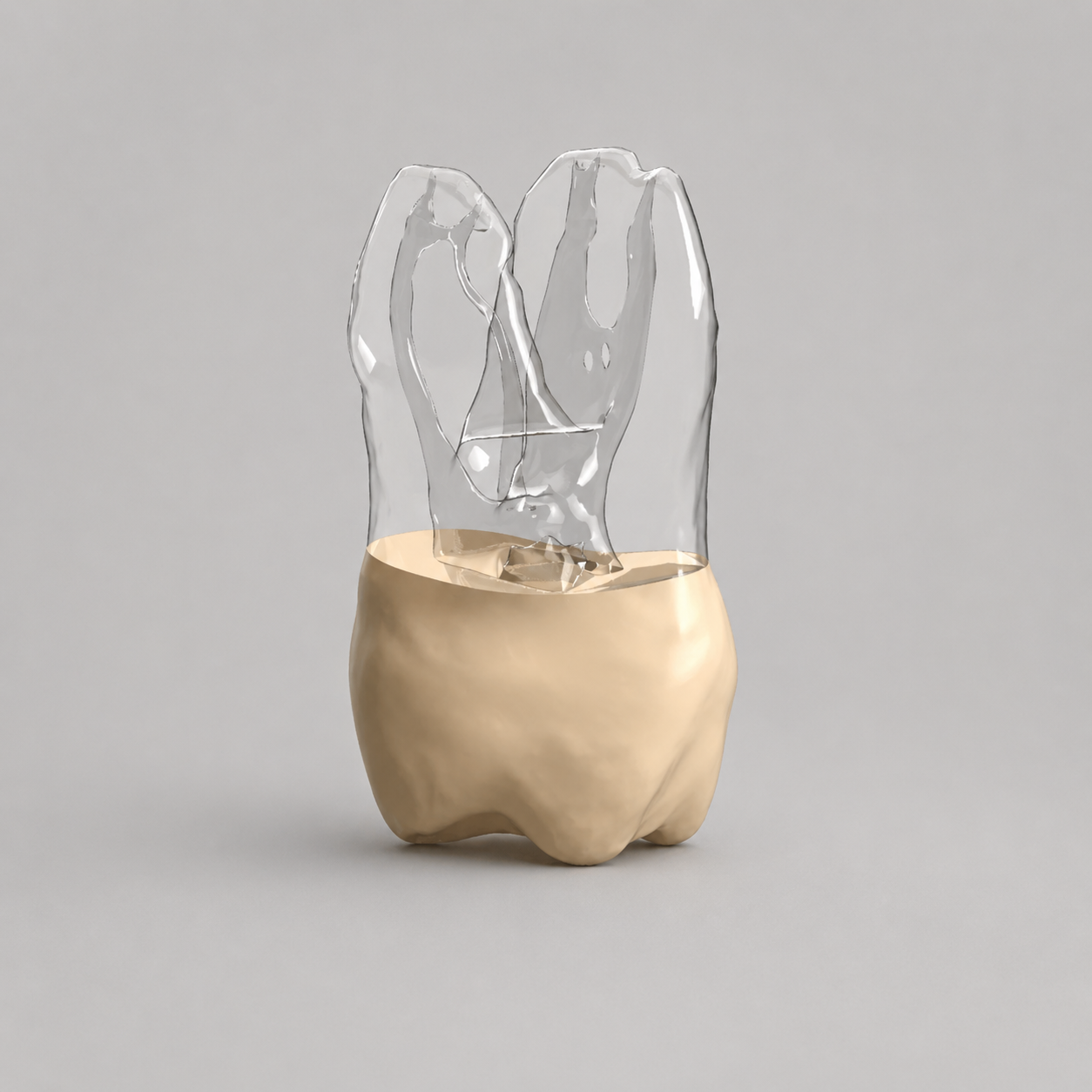 Tooth #19 (Client Model)