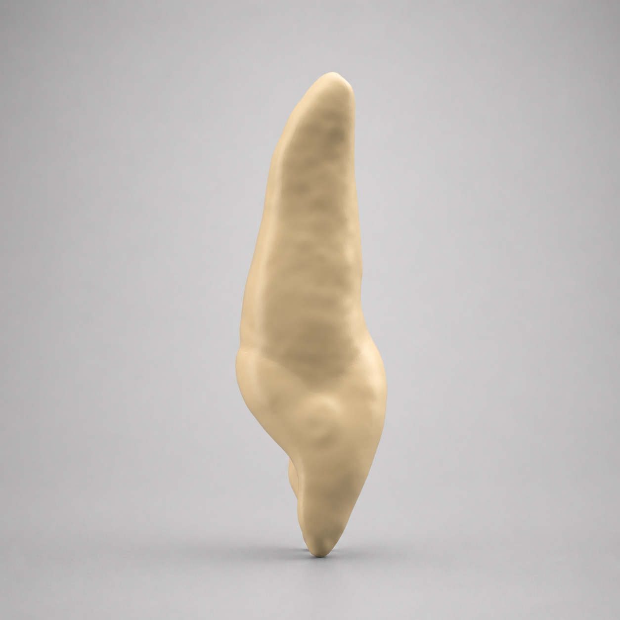 lateral_canal_opaque.png