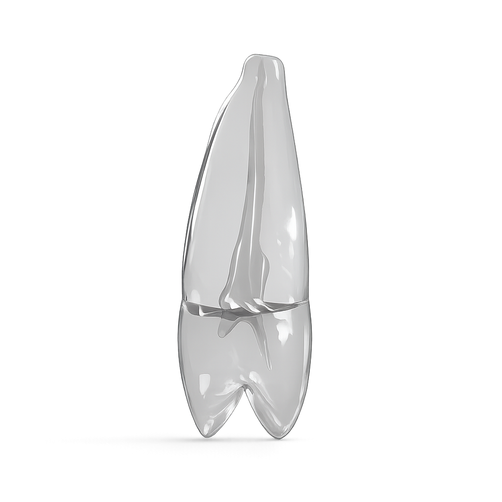 13_transparent_4.png