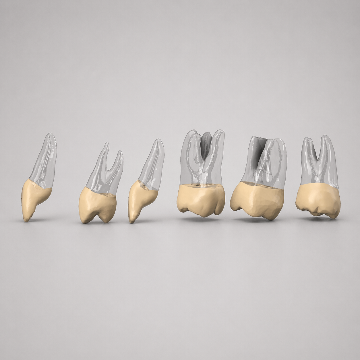Beginner Series Endodontic Training Pack (6)
