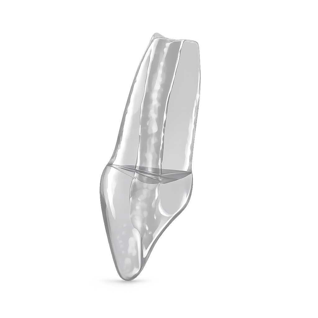 20_open_apex_transparent.png