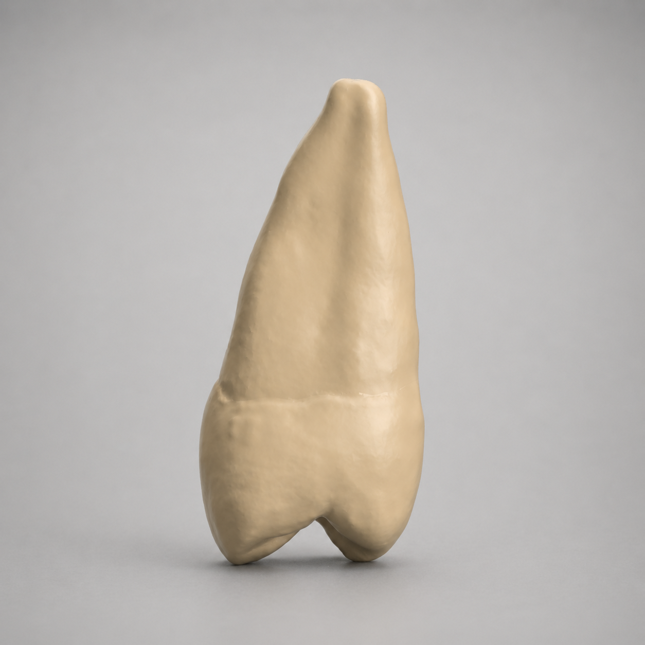 13_opaque_1.png
