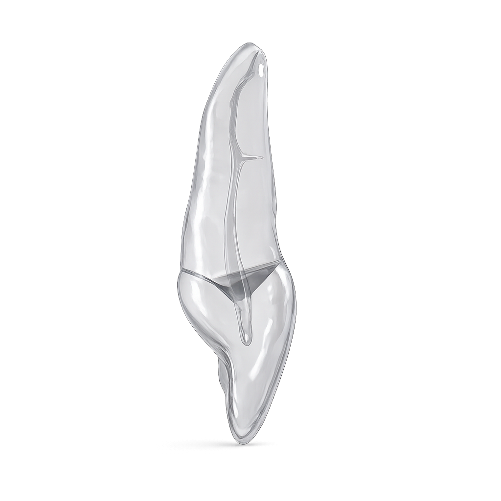 9_lateral_canal_transparent.png