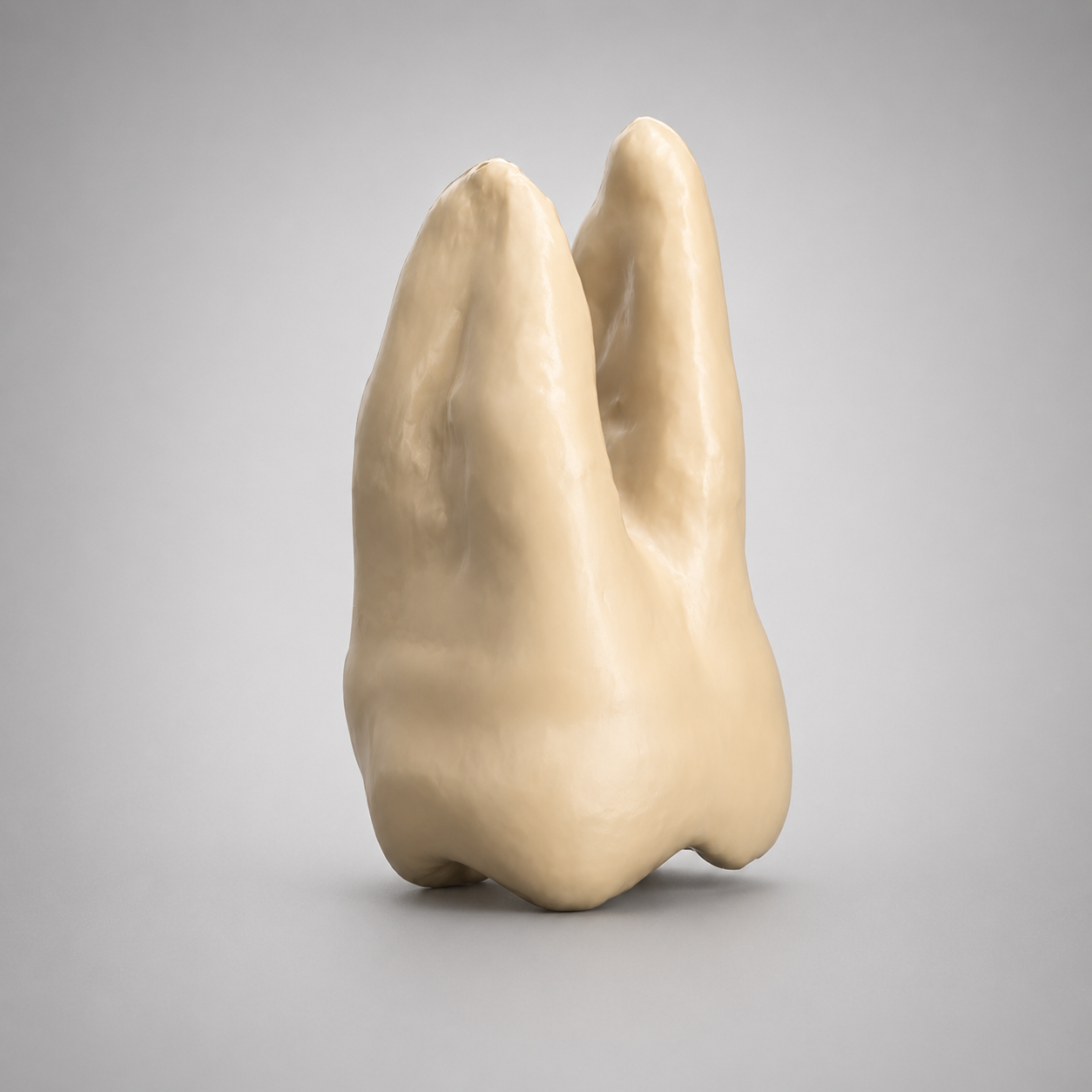 client_19_opaque_1.png