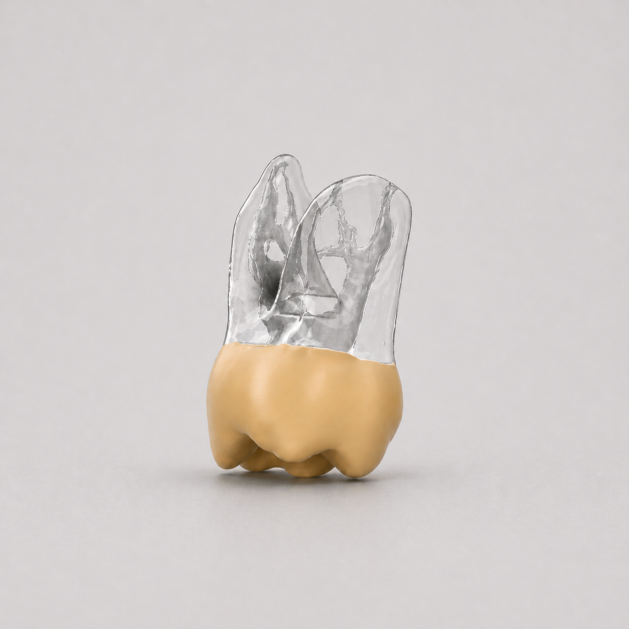 lower_molar_pediatric_1.png