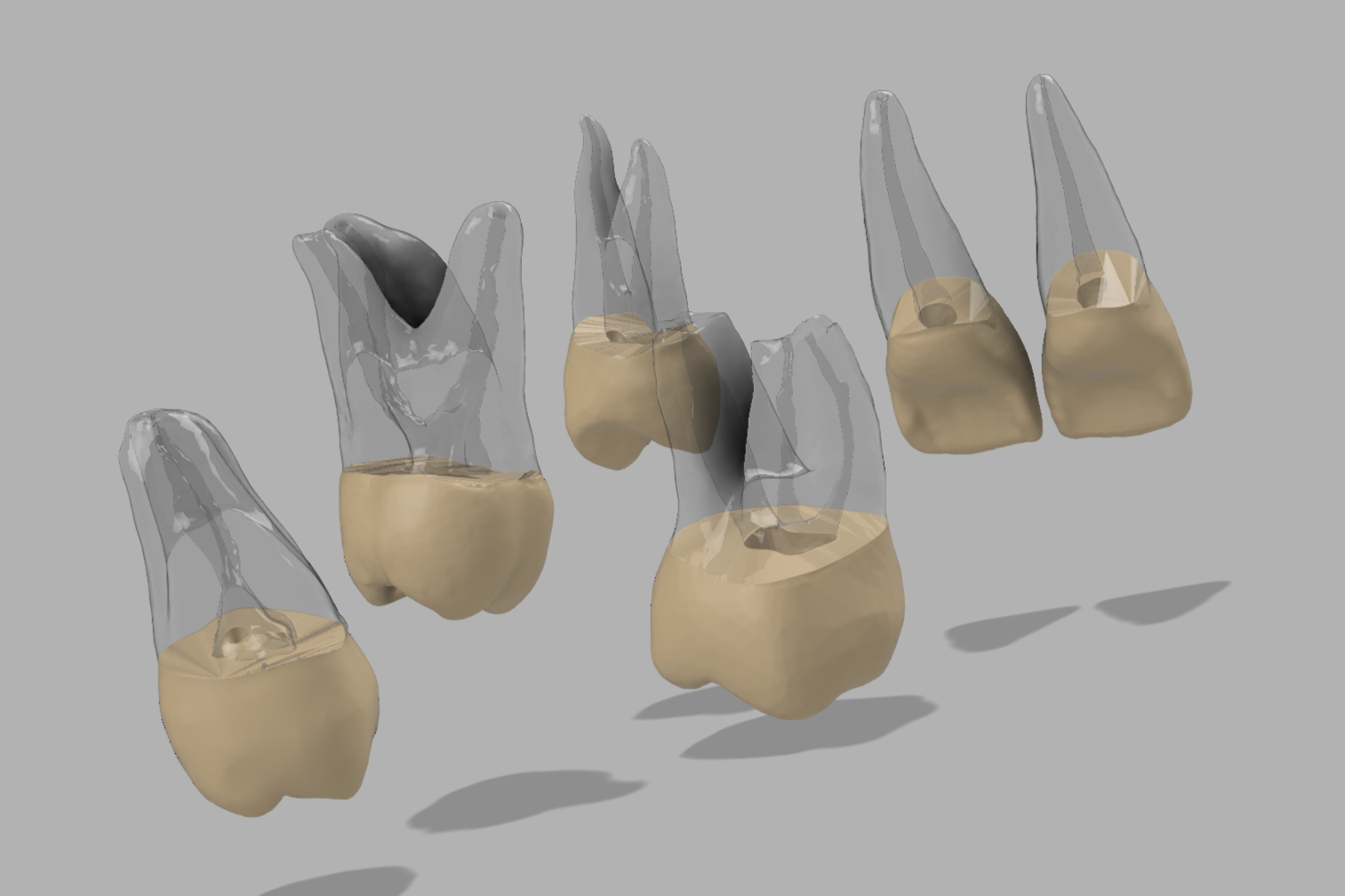 Beginner Series Endodontic Training 6 Pack