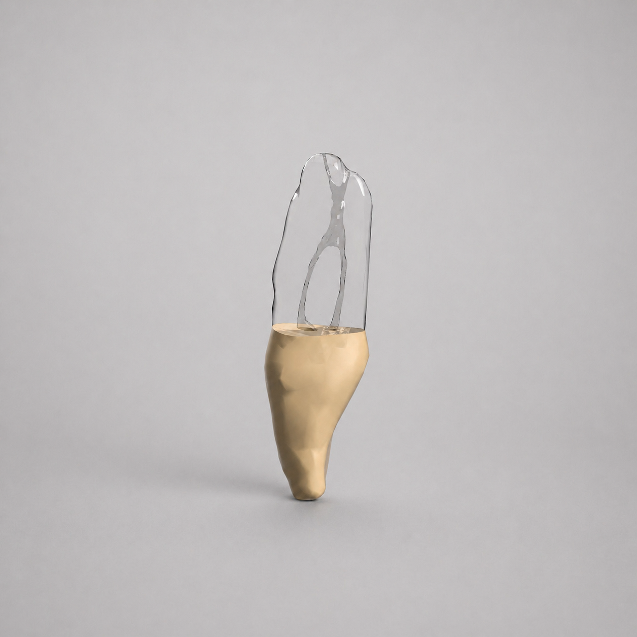 Tooth #25 (Lower Right Central Incisor)