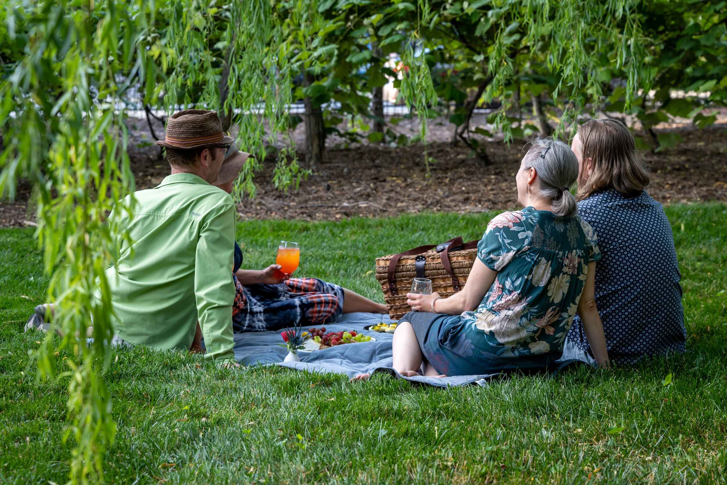 Picnic on the lawn