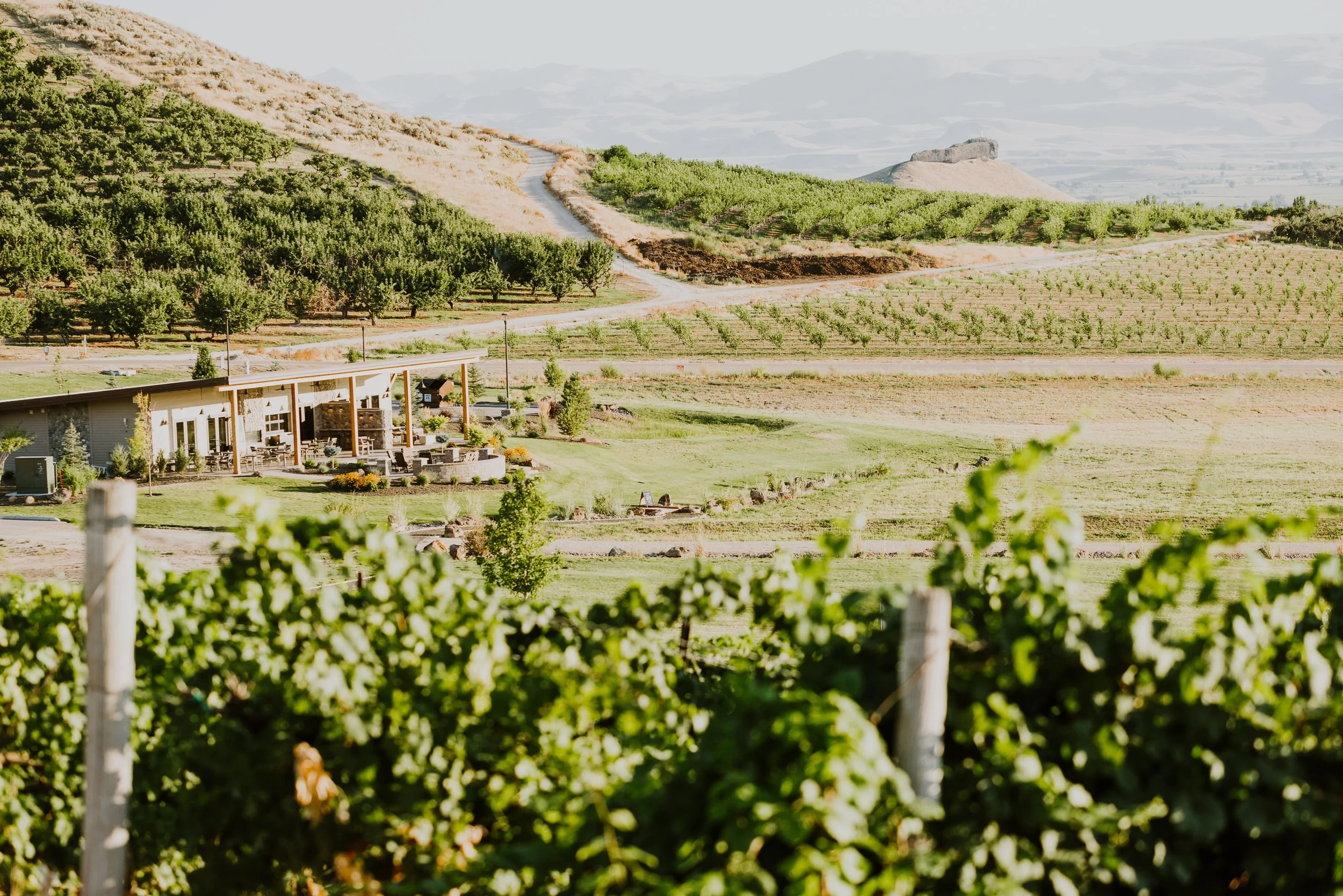 Sunny Slope Wine Trail Festival