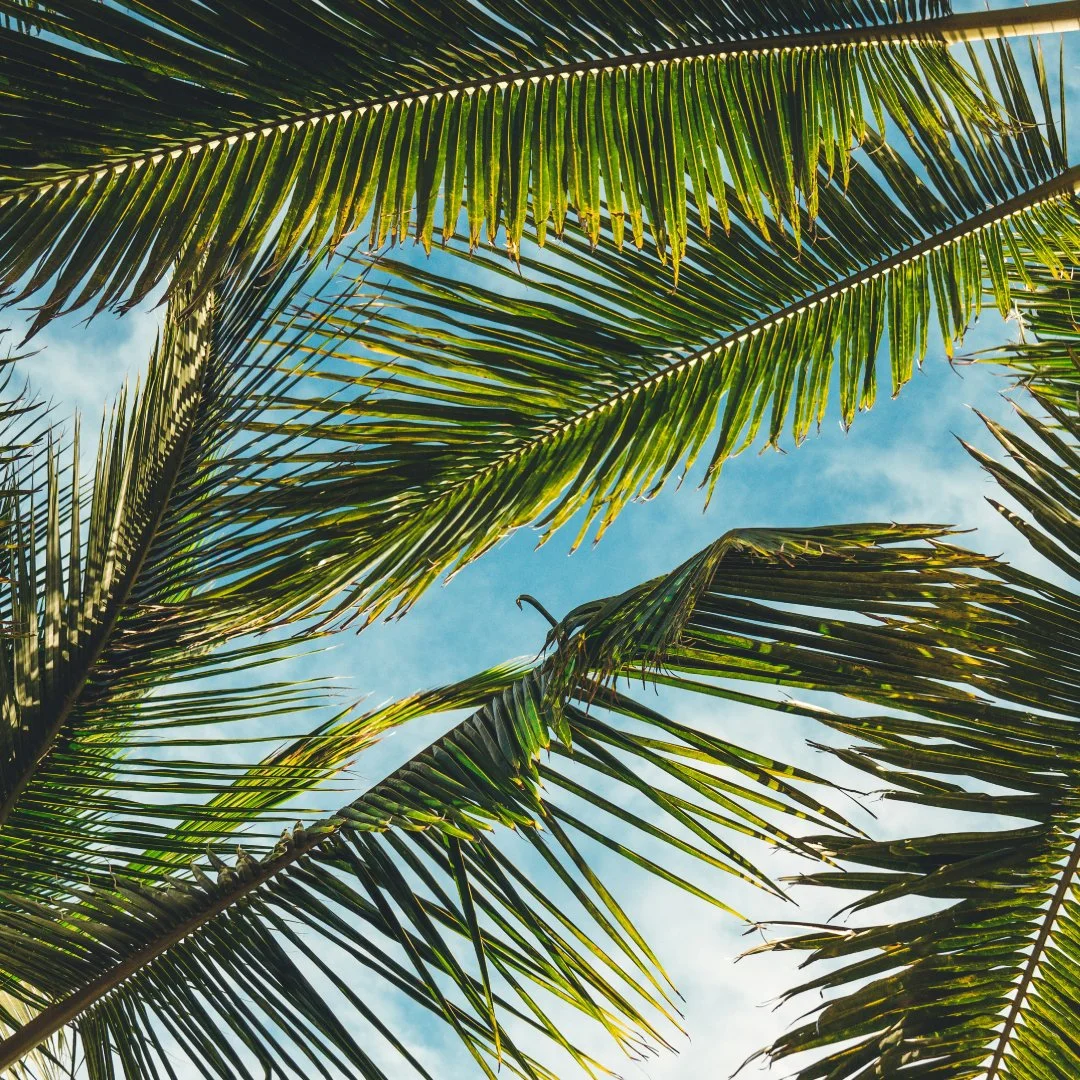 Tropical Escape Weekend