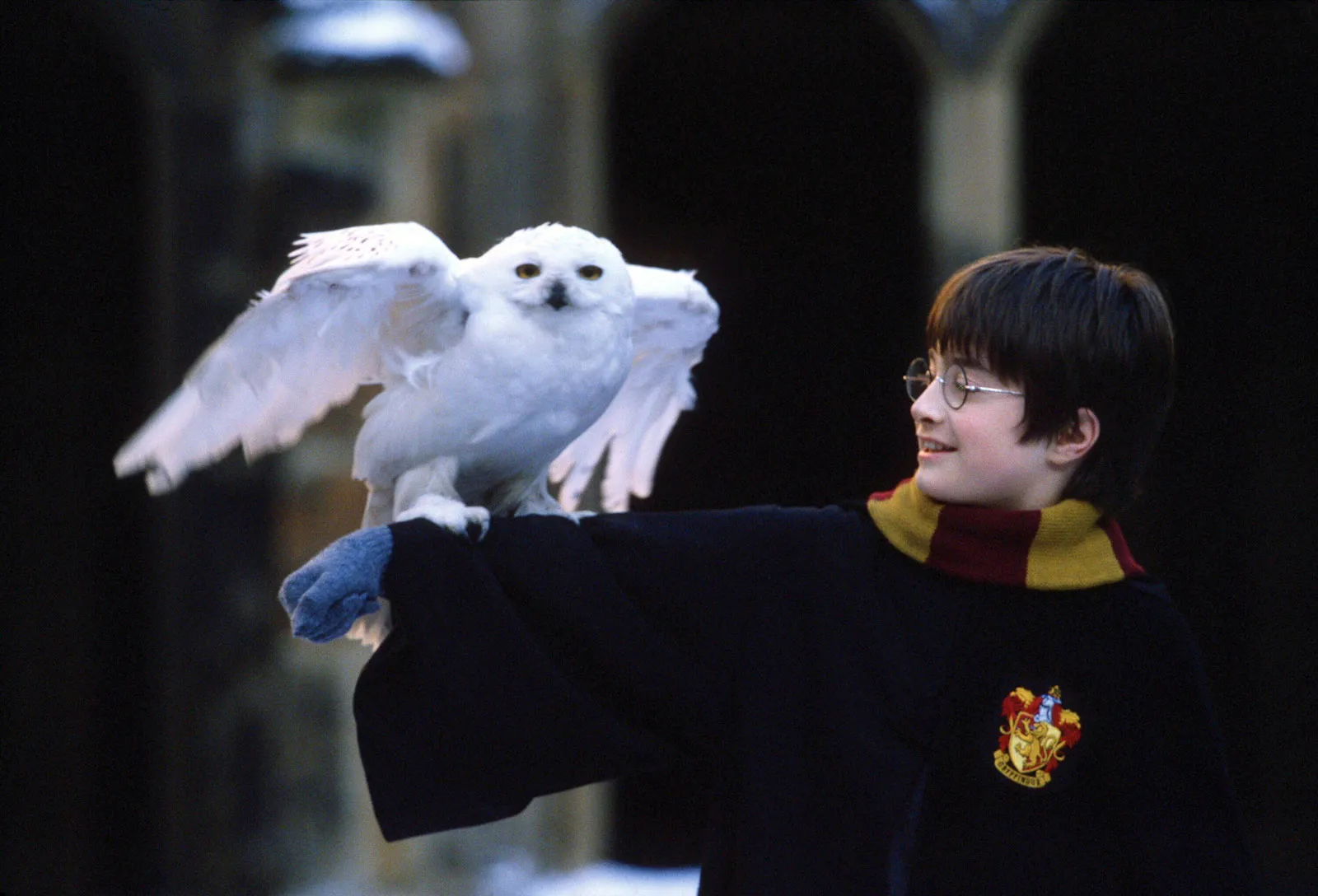 Trivia Night: Harry Potter