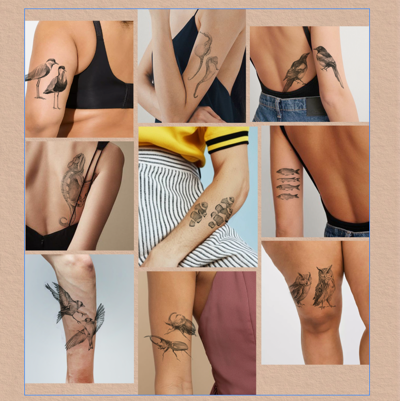 04168273-88C0-46F1-9695-9156585FB3A9.png