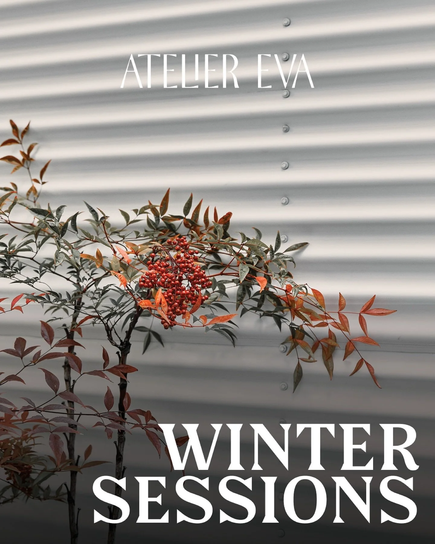 WINTER SESSIONS

Winter Sessions is a curated flash release from a selection of our resident artists, featuring ready-to-book designs created with the same intention and care that guides our work year-round.

We&rsquo;ve extended the availability of 