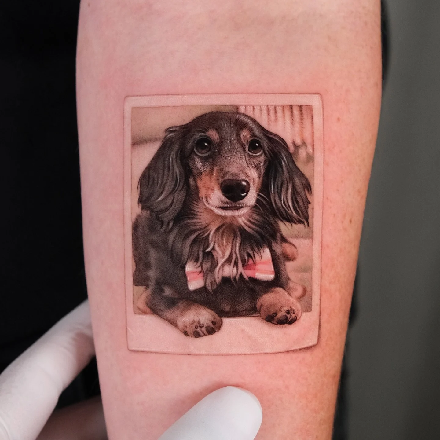 A collection of pet portraits by Ali (@ali_dundarrr).

He specializes in realistic tattoos, including pet portraits, epic film scenes, and highly detailed designs integrated with geometric lines.

Book with Ali at the link in our bio.

#AtelierEva #P