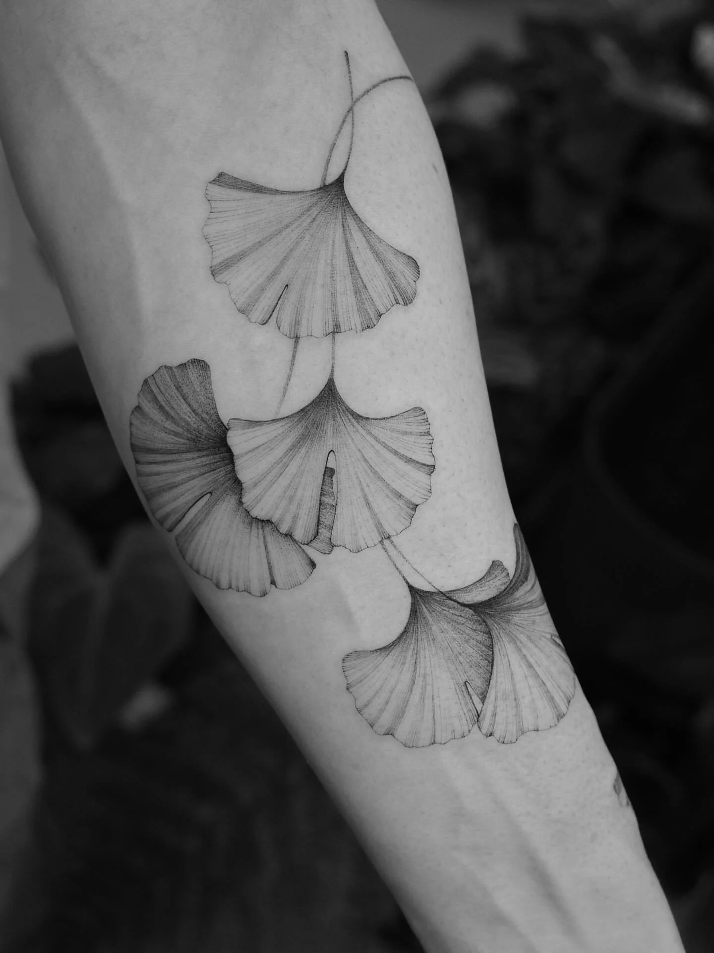A collection of works by @cerennkarakus.

Inspired by nature, Ceren creates unique, artful tattoos that reflect beauty and individuality.

Visit the link in our bio to explore more of her portfolio. 

#AtelierEva