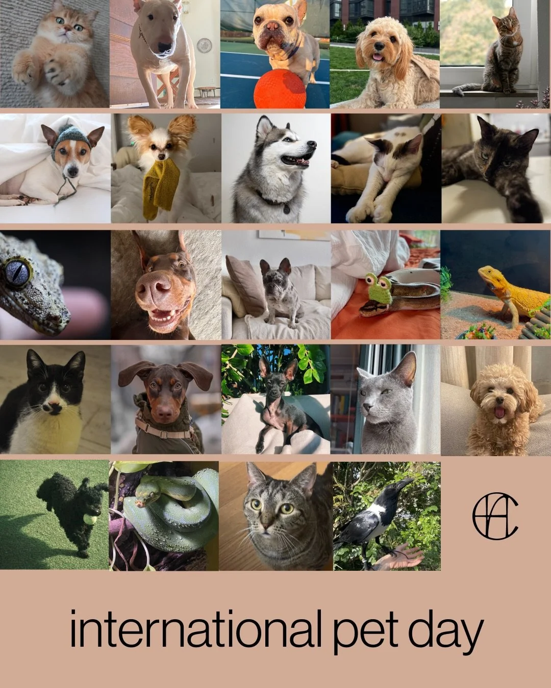 Today we&rsquo;re celebrating the pets that fill our studio (and our lives) with personality, comfort, and a little bit of chaos.

From zoomies to quiet moments, they&rsquo;re part of everything we do.

Honor yours with a custom portrait by our artis