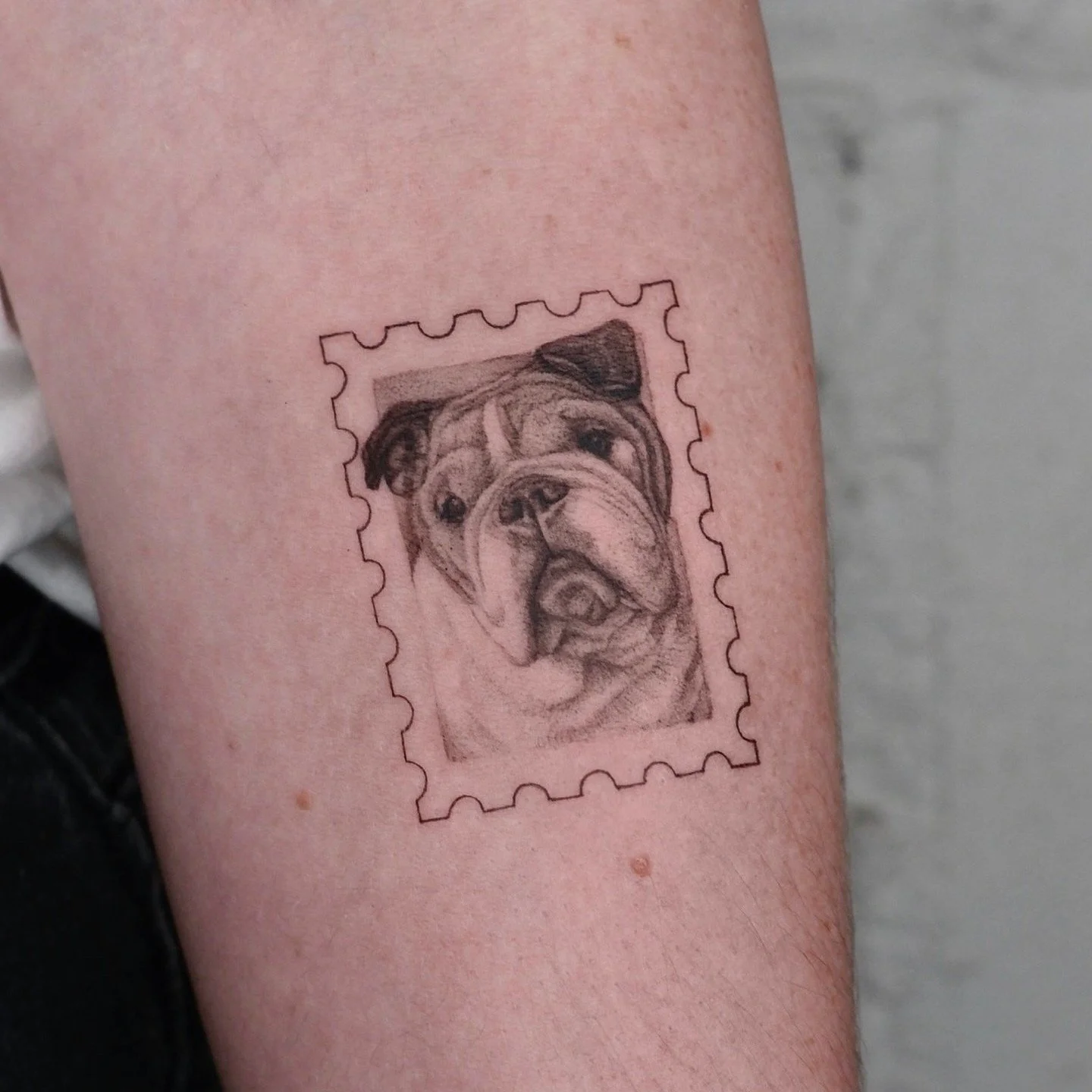 A collection of stamps by Ash (@inkedbyash).

To explore more of her portfolio or start a project, visit the link in our bio.

#AtelierEva #StampTattoo