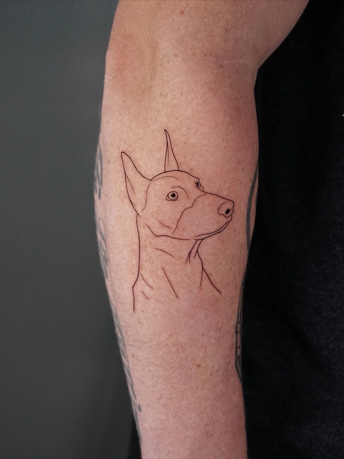 A collection of pet portraits by Alican (@pigmentninja).

To start a project or explore more of his portfolio, visit the link in our bio.

#AtelierEva