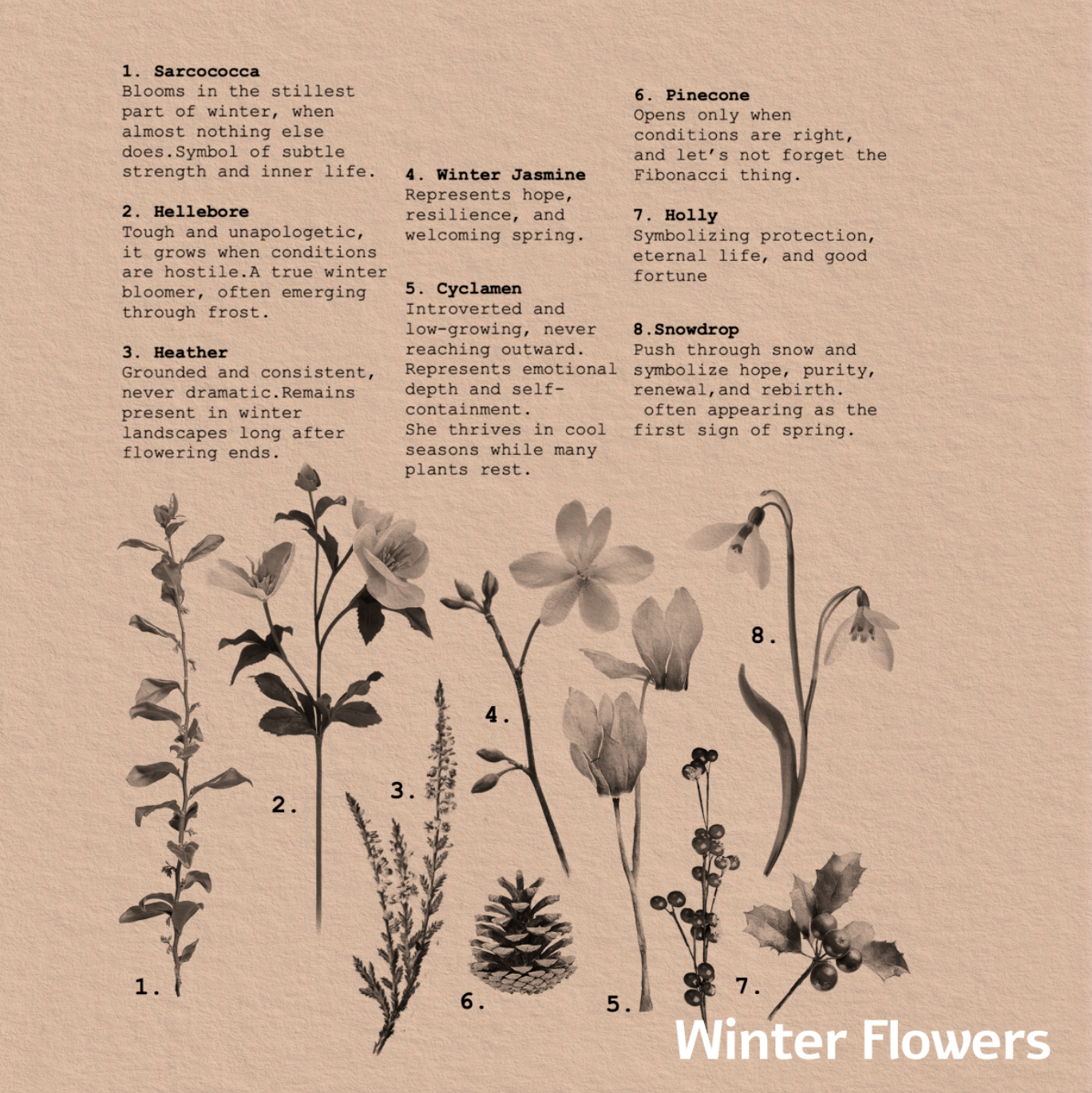 24F028EE-3B52-4C6A-B399-040087FAF060.png