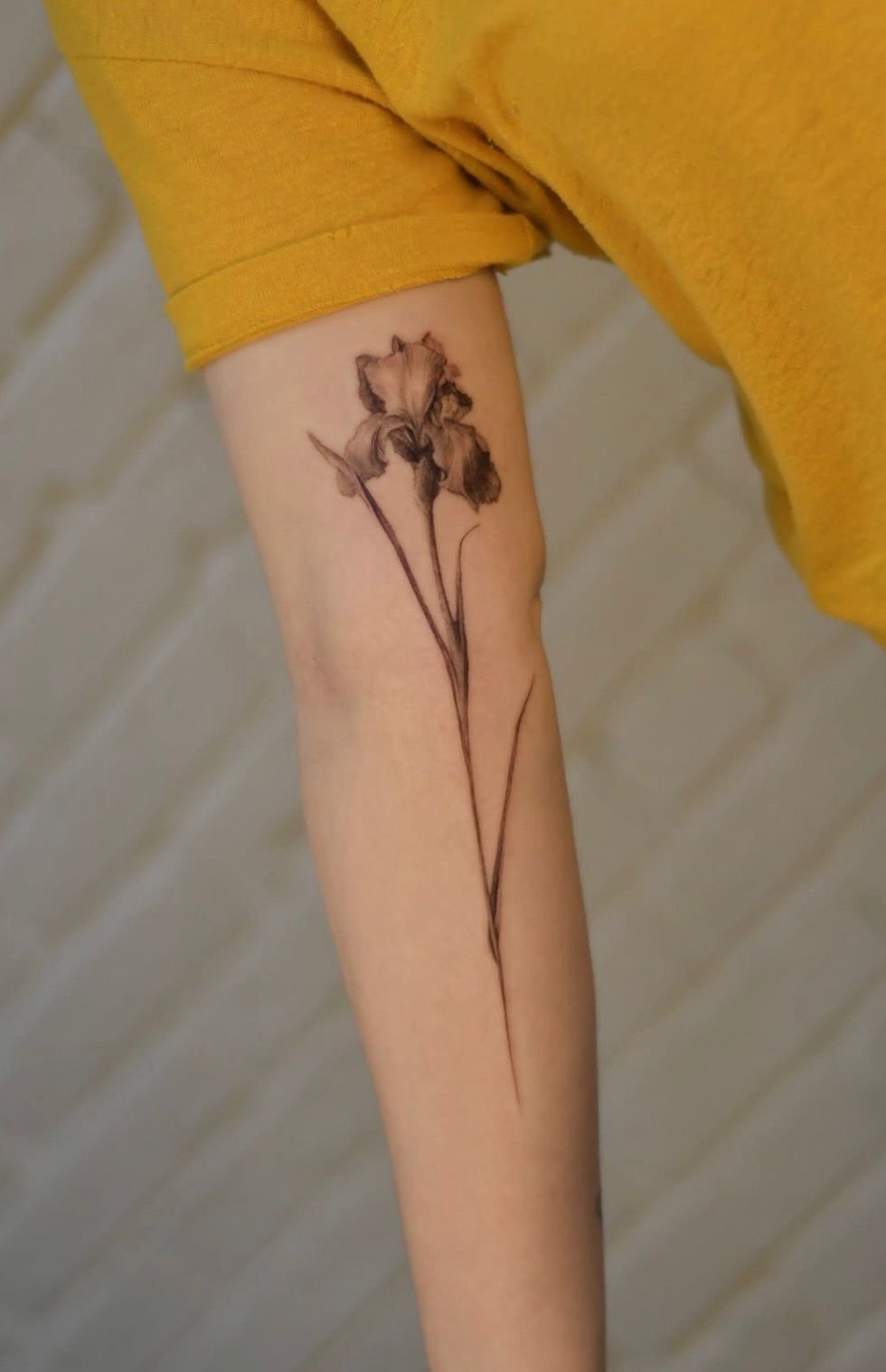 WhatsApp Image 2026-01-14 at 17.41.23.jpeg