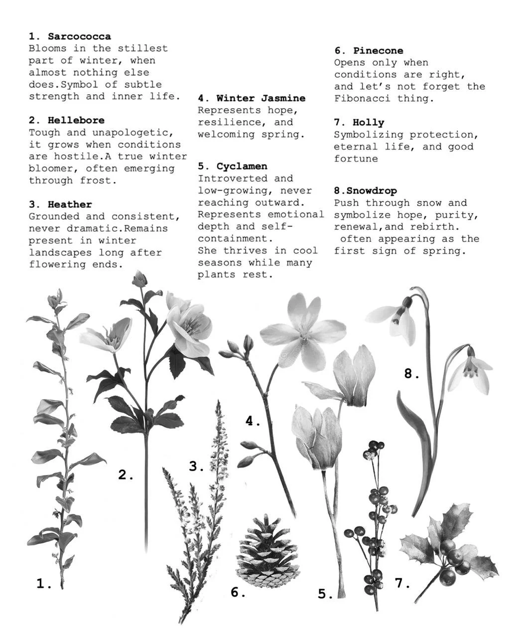 WhatsApp Image 2026-01-13 at 12.19.32.jpeg