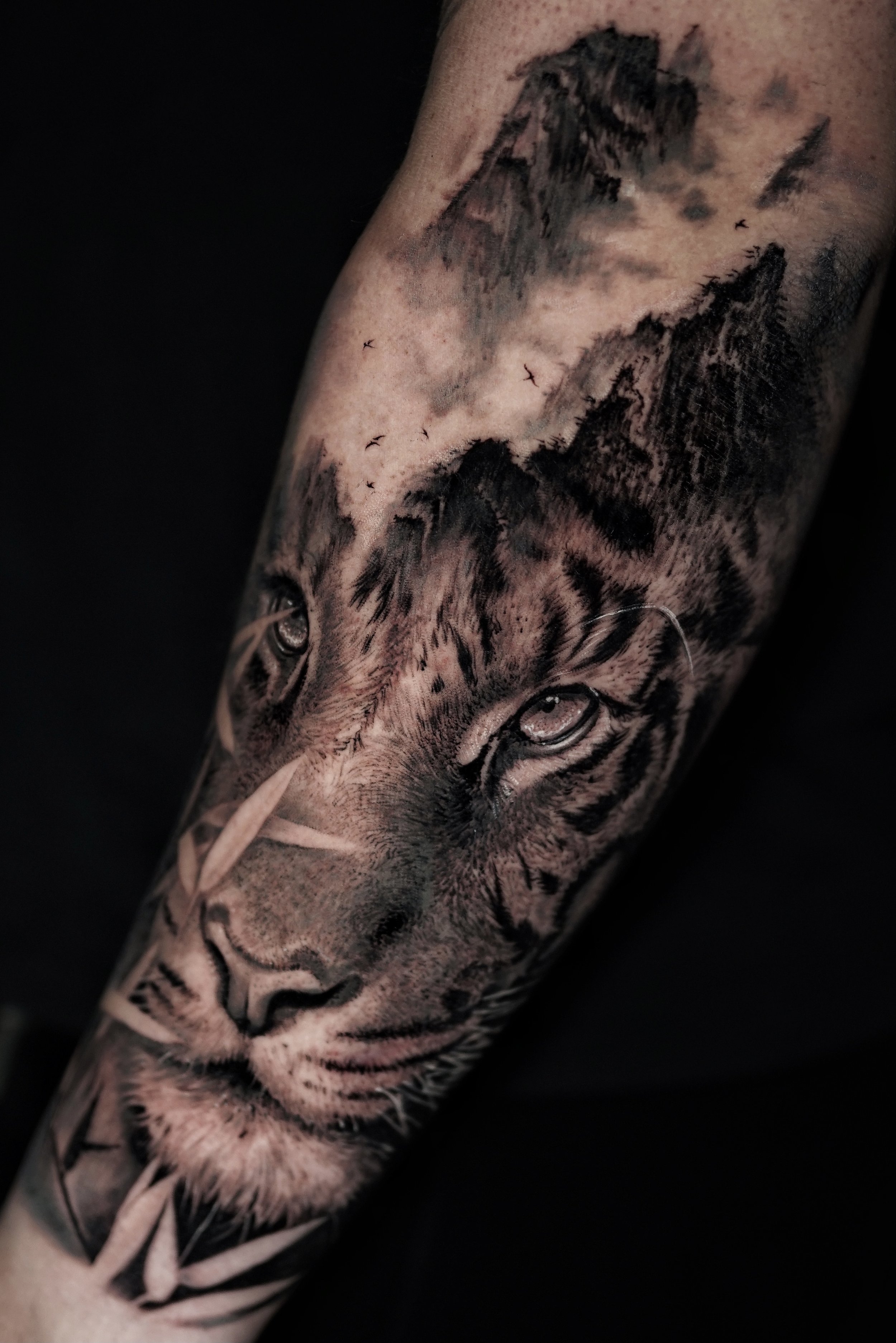 Copia de DSC06980.JPG