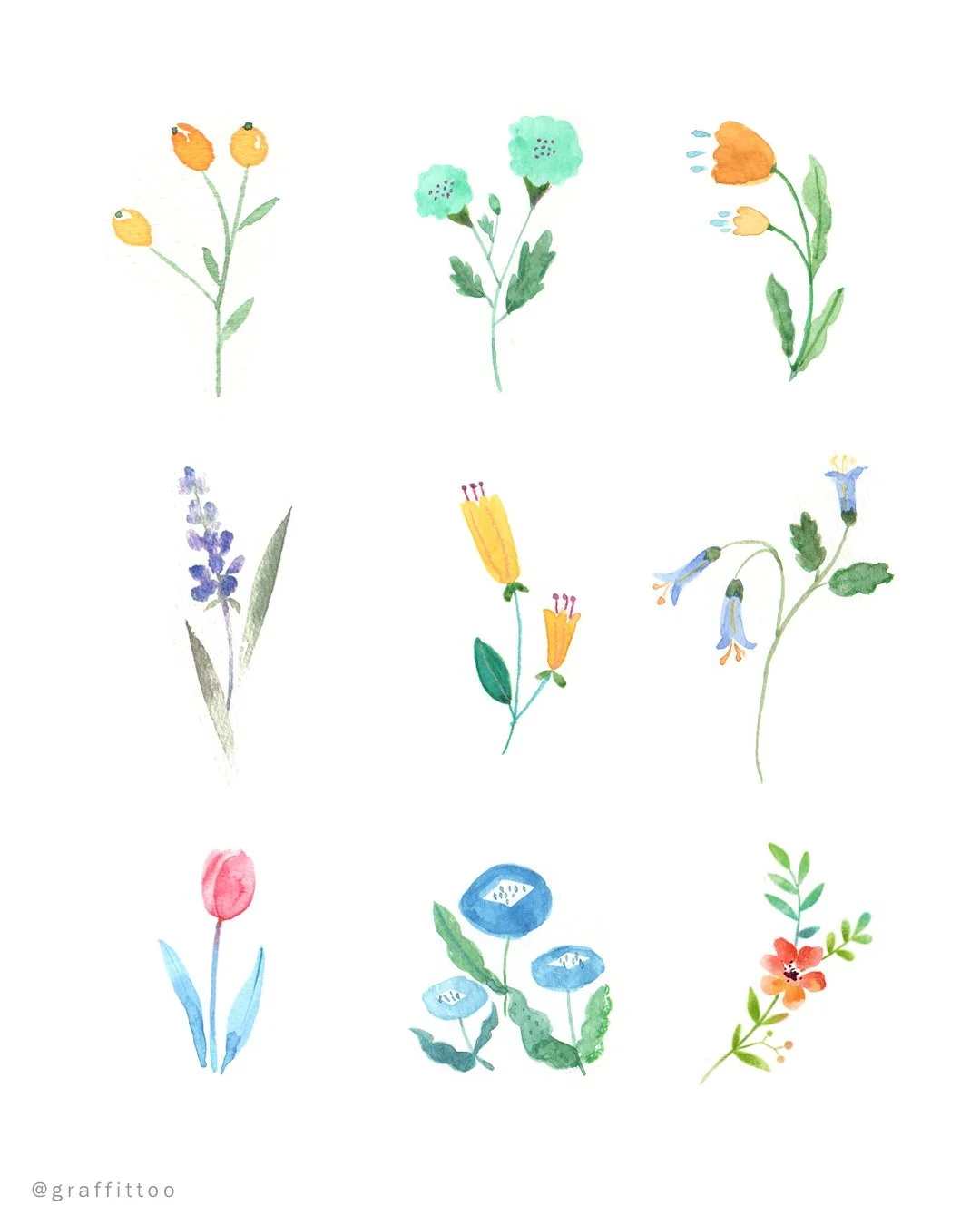 Floral Collection - 2