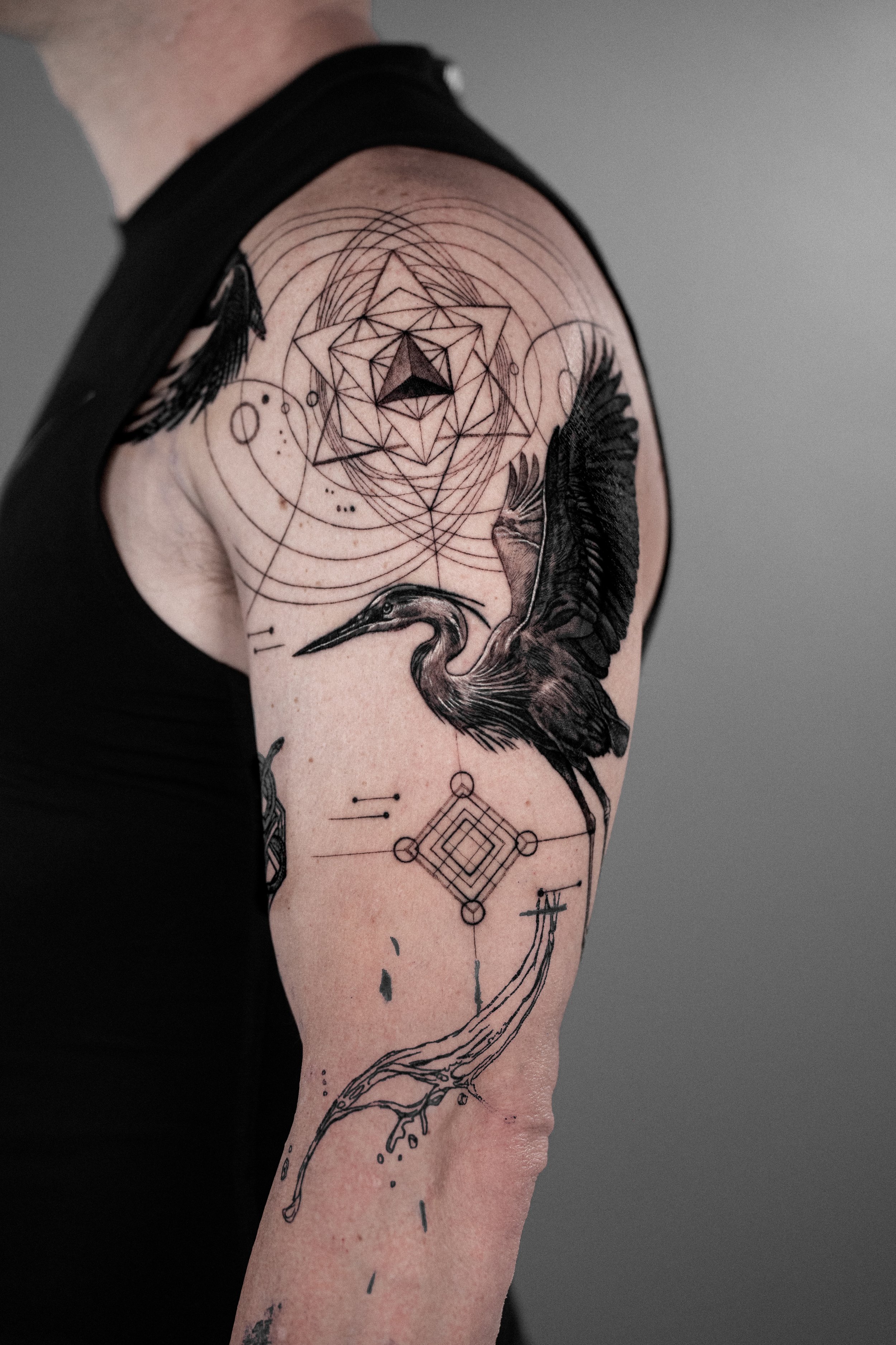 nick animacion garza.jpg